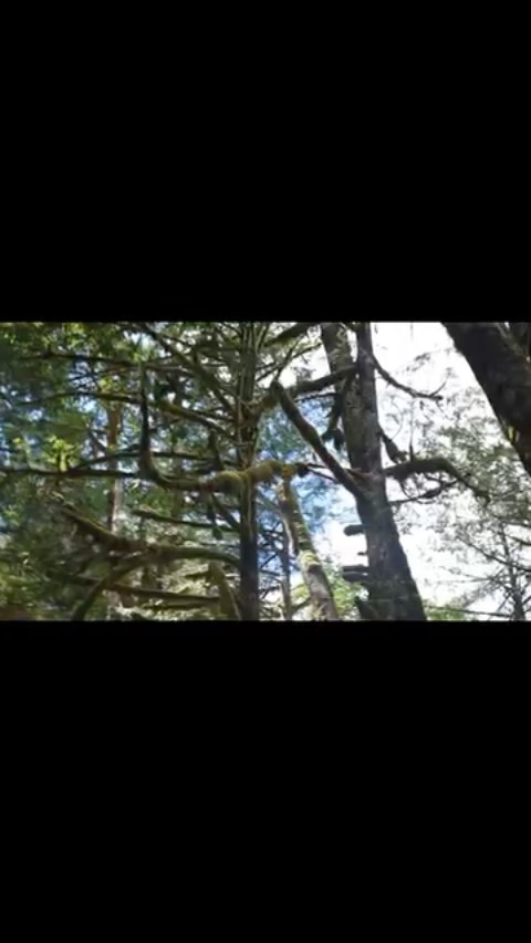 Nature is the gift ☀️⛰️🌑
.
.
.
.
.
.
.
.
.
.
.
.
.
.
#coffee #nature #hike #outdoors #wa #pnw #calm #peace