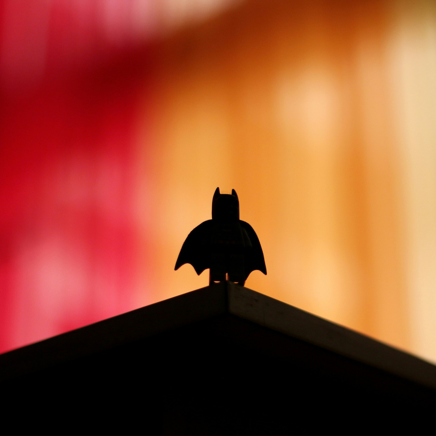 ⚡
.
.
.
© @_alikokab_ v/ @unsplash
.
.
.
#180editions #mangezlocallisezlocal #batman