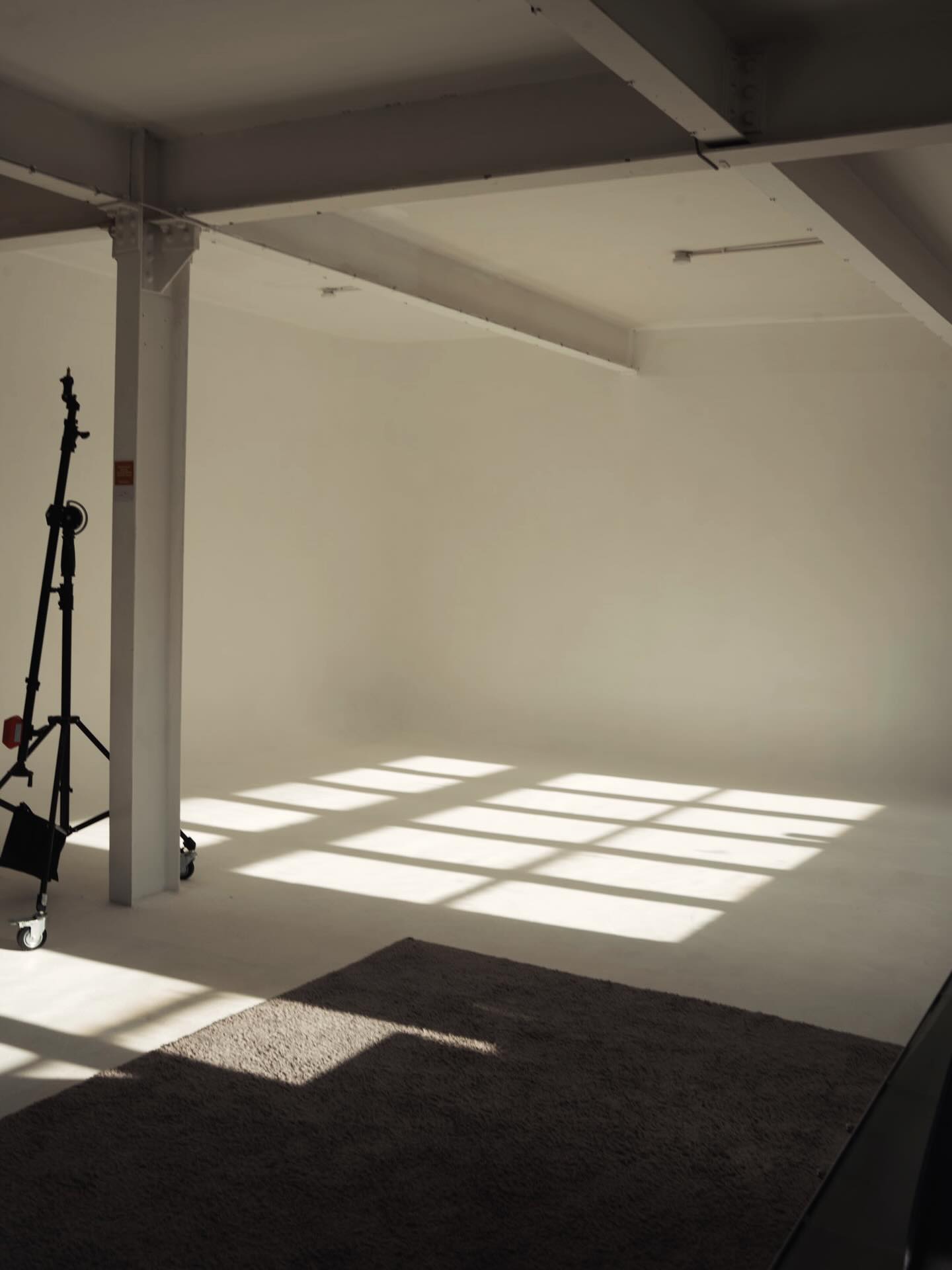 Mid-afternoon glow ✨