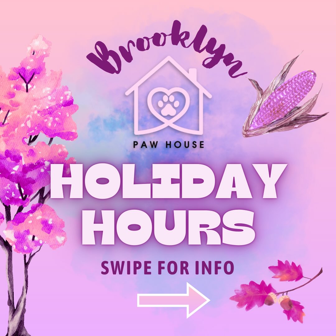 🎄🐾 Happy Howlidays, fur-fam! 🐾🎄
We’ll be taking a few cozy days off to cuddle our pups and sip some puppuccino foam. Here are the days BK Paw House will be CLOSED this season:
✨ Nov. 27 — Thanksgiving Day
✨ Dec. 24 & 25 — Christmas Eve & Christmas Day
✨ Dec. 31 & Jan. 1 — New Year’s Eve & New Year’s Day
We’ll also have limited holiday hours (9AM–5PM) on these dates:
🕒 Nov. 28 — Day After Thanksgiving
🕒 Dec. 22, 23 & 26 — Christmas Week (Mon/Tues/Fri)
🕒 Dec. 29, 30 & Jan. 2 — New Year’s Week (Mon/Tues/Fri)
Plan your playdates, baths, and snuggles accordingly! 💕
Can’t wait to see all our fluffy friends before and after the holidays! 🐶💝