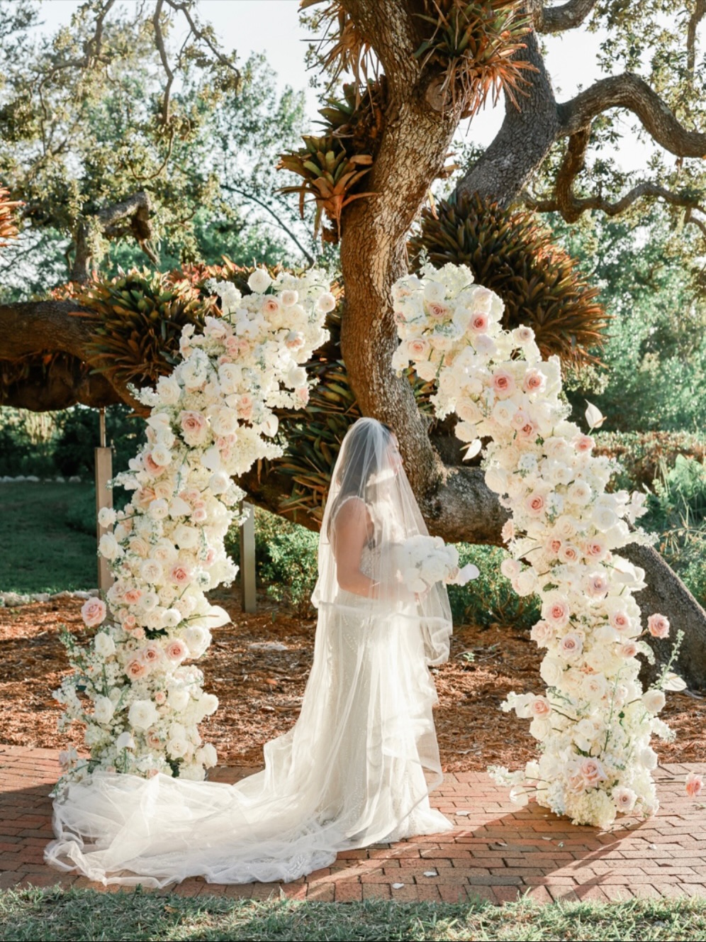 A preview of the beauty to come!
Planning: @lauradetwilerevents
Venue: @selbygardens
Caterer: @married.with.michaels
Photo: @lifelongphotographystudio
Floral: @victoriabloomssrq
Band: @noahgreymusic
Videographer: @storybook_films
Furniture Rental: @palaciosevents
Table Design: @treasuryrentals @bbjlatavola
Wedding Ring Companies: @tiffanyandco
Dress Shop: @theperfectdresssarasotaflorida
Tux Shop: @tweedssuitshop
Drapery/ Design: @affairs_in_the_air
Cake: @sweetsbakehouse
Stage: @upstaged_srq
HMU: @lochnessa_makeup_creations
Content Creator: @velzycoastal
Transportation: @srqtrolley @classic_wedding_cars_fl
.
.
.
.
#selbygardens #selbygardenswedding #luxuryweddings #luxuryweddingplanner #destinationwedding #whitewedding #blush #blushwedding #brideandgroomphotos #sarasotawedding #engaged #floridawedding #sayido #loverly #bridetobride #engaged2026