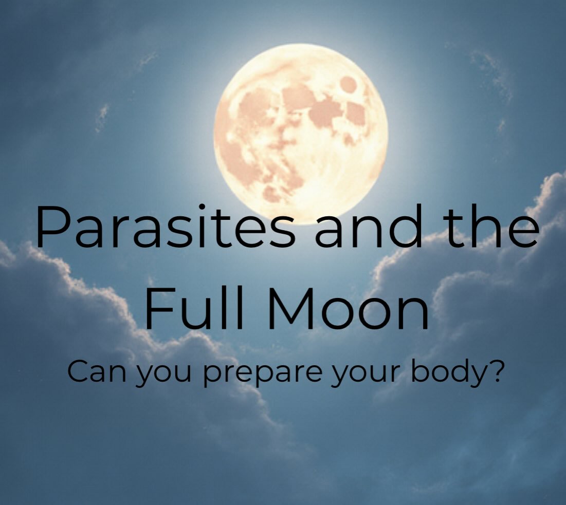 FULL MOON & PARASITES — WHAT’S REALLY GOING ON?
Have you ever noticed that your sleep feels off, cravings spike, or your gut feels extra noisy around the full moon?
Parasites love the full moon and this is why:
1) Melatonin drops so your immune system is a little less regulated.
2) Serotonin rises — and parasites love serotonin!
They feed off of it for strength, growth, and reproduction.
When parasites are very active they also create waste. They are eating and drinking and creating a mess behind. It’s a crazy rave! Now your immune system and liver need to clean it up! This stimulates more activity than you are normally used to at night affecting your nervous system and sleep quality.
🪱Parasites thrive and party when they are in the right environment.
While I love parasites cleanses, not everyone is ready for one as this is an advanced protocol for those who have already taken various steps in their healing journey. Do you need help understanding if you need to get a cleanse? Sign up for our program!
But here are simple steps that everyone can take to be a bad host and be ready for when the full moon arrives.
1) Drink lots water, i mean more than usual the days before and after the full moon. Parasites will change the environment to support their survival. They can make you constipated so that you cant poop them out.
2) Drink liver supportive teas with milk thistle and dandelion root to strengthen your liver for the waste they produce! Check my favorite products for teas in my linkinbio!
3) Stimulate your lymphatics by dry brushing, lymphatic exercises, or use a vibration plate… just get moving!
4) Prepare your nervous system with somatic exercises. Parasites hijack neurotransmitters- (serotonin, dopamine, and gaba) Hence why you may not be in the greatest mood around this time.
5) Make yourself a tea parasites hate- (a tsp of each- wormwood, clove, black walnut hull, ginger root, and lemon)
6) Eat pumpkin seeds and grapefruit
But these steps are just scratching the surface! Let’s get to the bottom of it in our program! Some things we will look at is your mineral and heavy metal status as parasites love to feed off of those as well and your gut terrain!