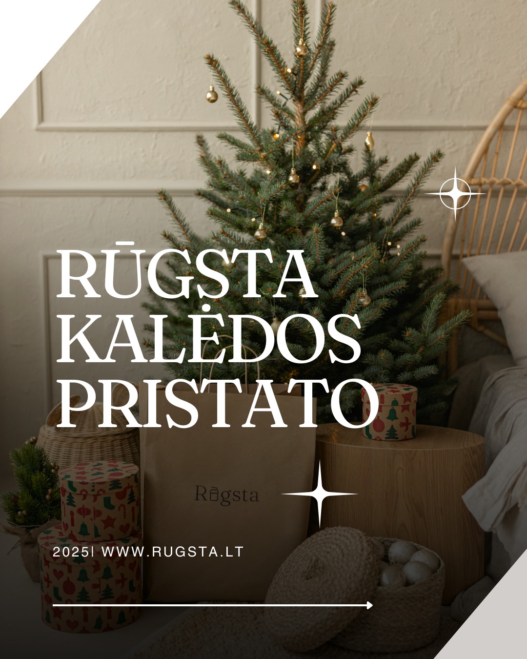 Simboliška, kad gruodis – metas, kai visi ieškome ne tik dovanų kitiems, bet ir kažko prasmingo sau. Rūgsta
natūralaus raugo (sourdough) duonos kepimo mokymai – tai patirtis, kuri įneša į namus jaukumo, tradicijos ir ilgaamžiškumo bei kuria norisi dalintis ir toliau.
Jie pritaikyti kiekvienam, nepriklausomai nuo patirties ar įrankių – jei nežinai, nuo kurių miltų pradėti, mes paaiškinsime. Išmoksi ne tik kepti — suprasi visą natūralaus raugo filosofiją.
Tad, čia prasideda Tavo kelias į duoną, kuri gyva ❤️
Rinktis galėsi iš trijų skirtingų planų:
🌾 BASIC
🌾 STARTAS
🌾 PRO
Kad tavo duonos kelias visada prasidėtų nuo tvirto, gyvo pagrindo — su kiekvienu planu gausi 🎁: raugo auginimo rinkinį „Starteris".
Dovanok ne daiktą, o patirtį, kuri palieka pėdsaką ilgiau nei vienos Kalėdos ✨
Jau www.rugsta.lt !🎉
#Sourdough #SourdoughBread #SourdoughStarter #BreadBaking #NaturalFermentation #ArtisanBread #BakingWorkshop #HolidayGifts #GiveExperiences #HandmadeBread #LearnToBake #BakingClass #WinterVibes #CozyHome #ChristmasGiftIdeas #MeaningfulGifts #HomeBaking #BakeWithLove