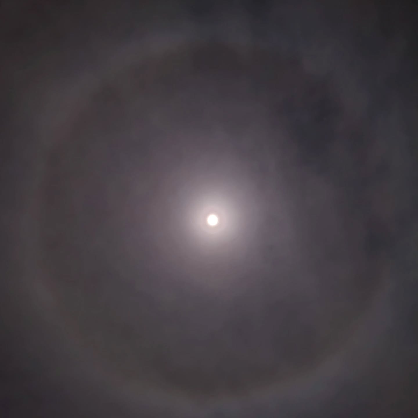 What an amazing ring (halo) around the almost full moon on Wednesday. I felt like a massive eye of giant was watching us...
#moonring #moonhalo