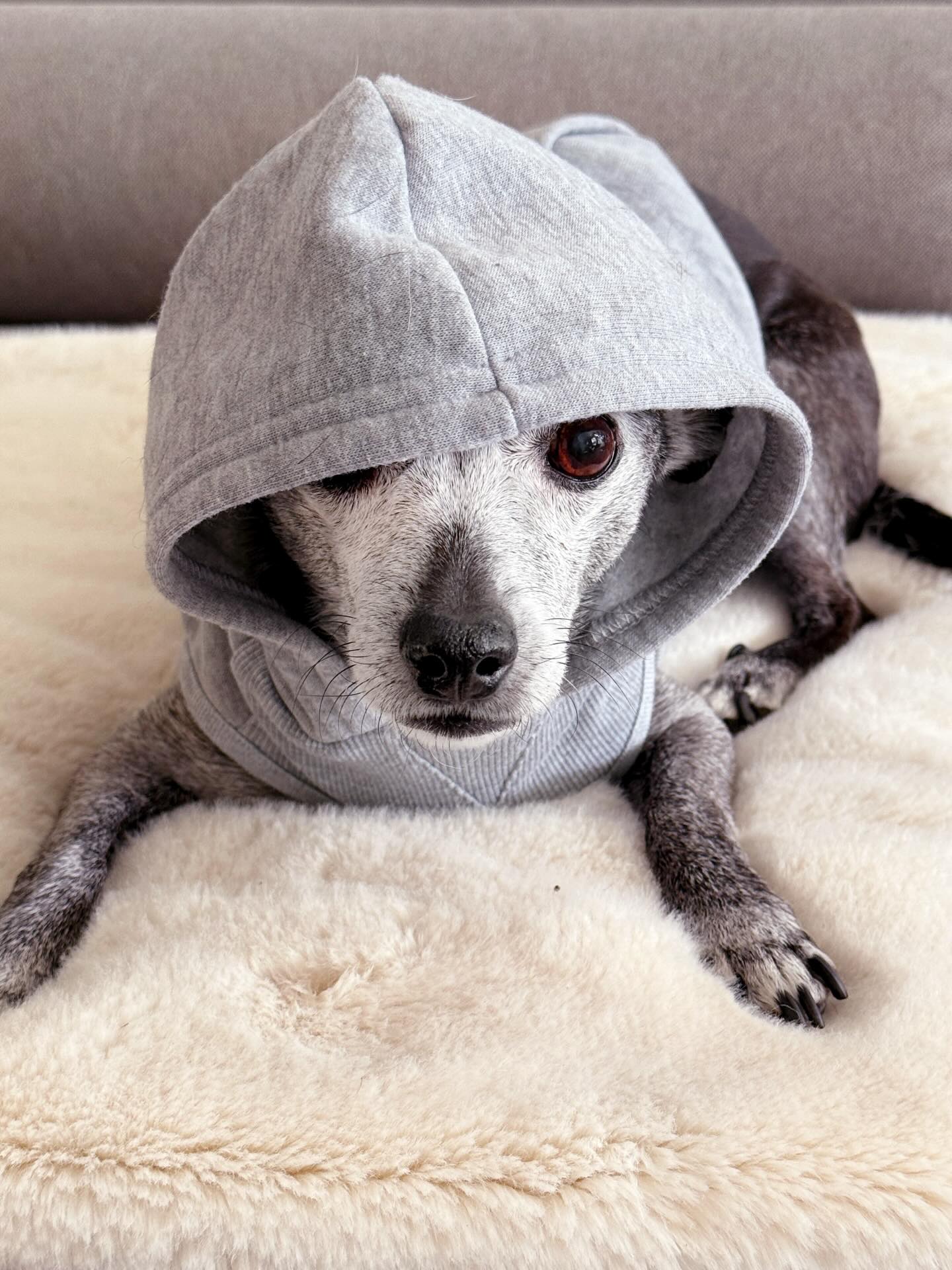 Strong Monday vibes. 😑