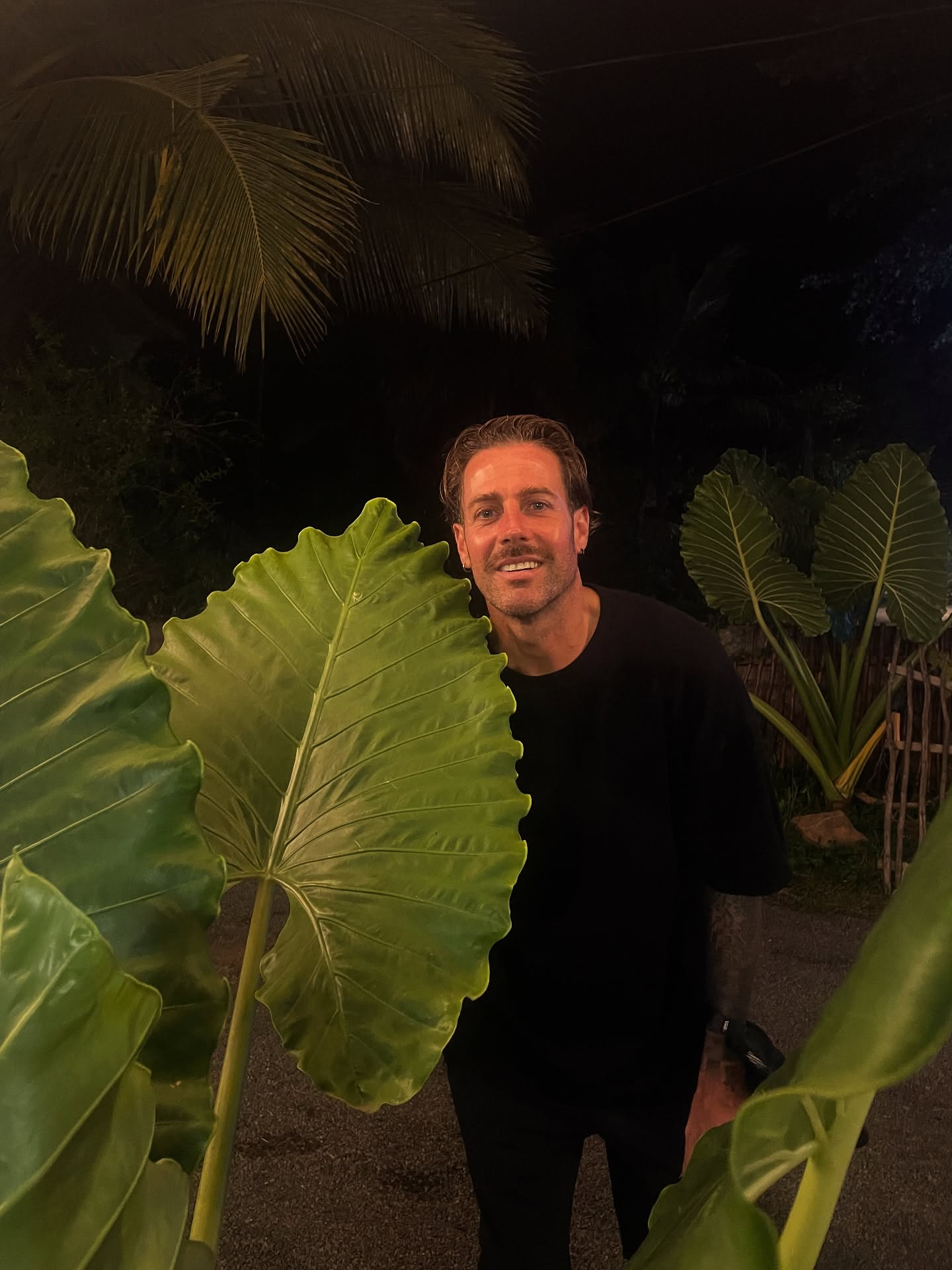 Bro … getting excited of these huge leafs 🌿😮
~
~
~
#innatute #plants #beautifulplants #srilanka #hiriketiyabeach
