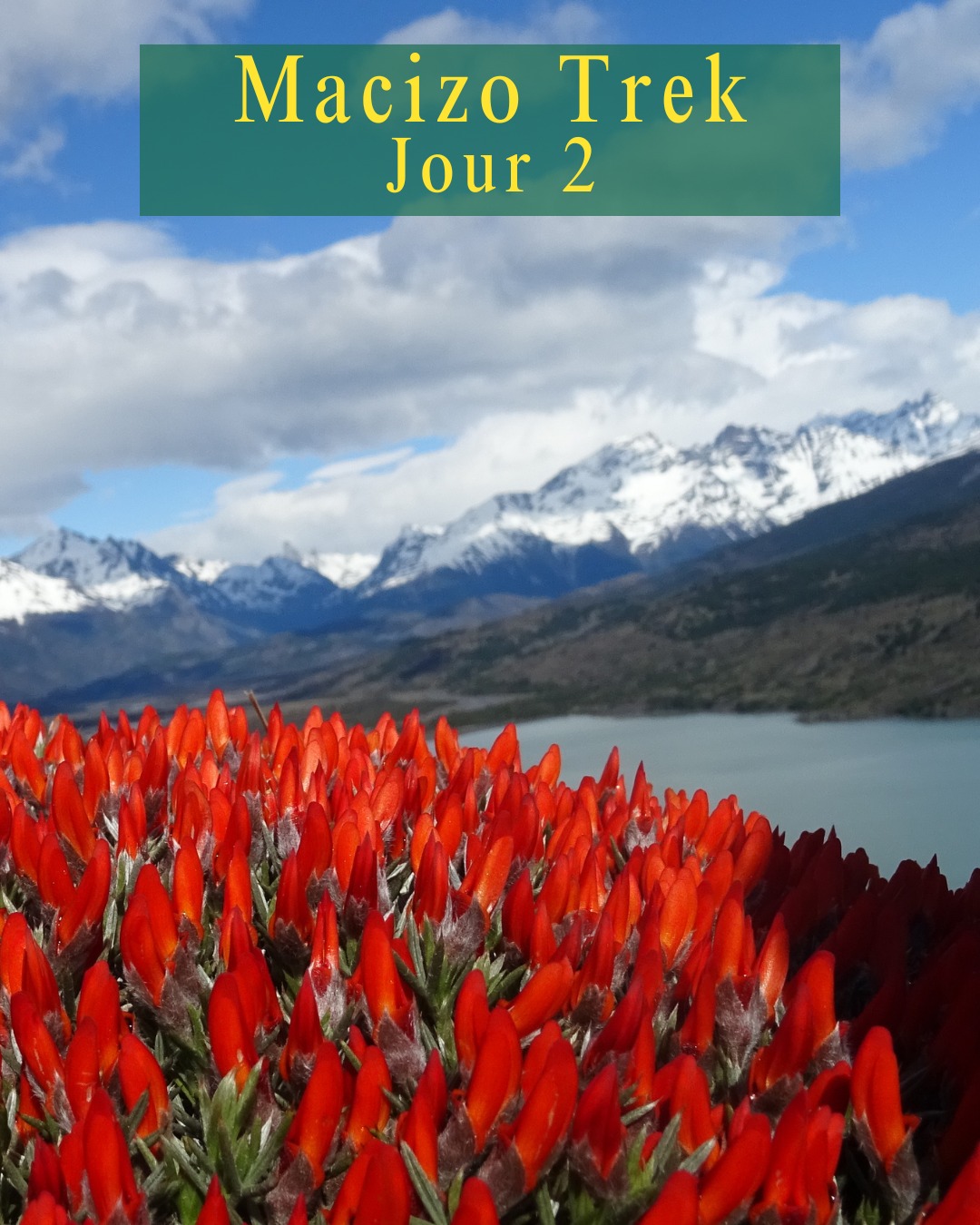 "O" T R E K - P A T A G O N I E
🤩Jour 2: De Seron vers Dickson
Encore une bonne météo pour cette 2ème journée !
Départ à 8h30, on découvre quelques groupes de randonneurs qui vont parcourir aussi ce trek O pour 8 jours.
🌏 Français, Allemands, Canadiens, Espagnols, Américains (en sandales), il y a du peuple !
Aujourd’hui c'est 19 km de marche jusqu’au refuge Dickson.
🍄On découvre des petits champignons qui poussent en grappe sur les arbres : le digüeñe !
C'est un peu gélatineux, un goût rien qu'à lui. Bon c'est pas foufou mais on a testé !
🌼Les fleurs ont des couleurs chatoyantes et le soleil tape ! De quoi peaufiner mon bronzage de roux. 😎
#patagonia #trekking #chili #torresdelpaine #trek #chile #sport #montagne #lake #lago #macizotrek