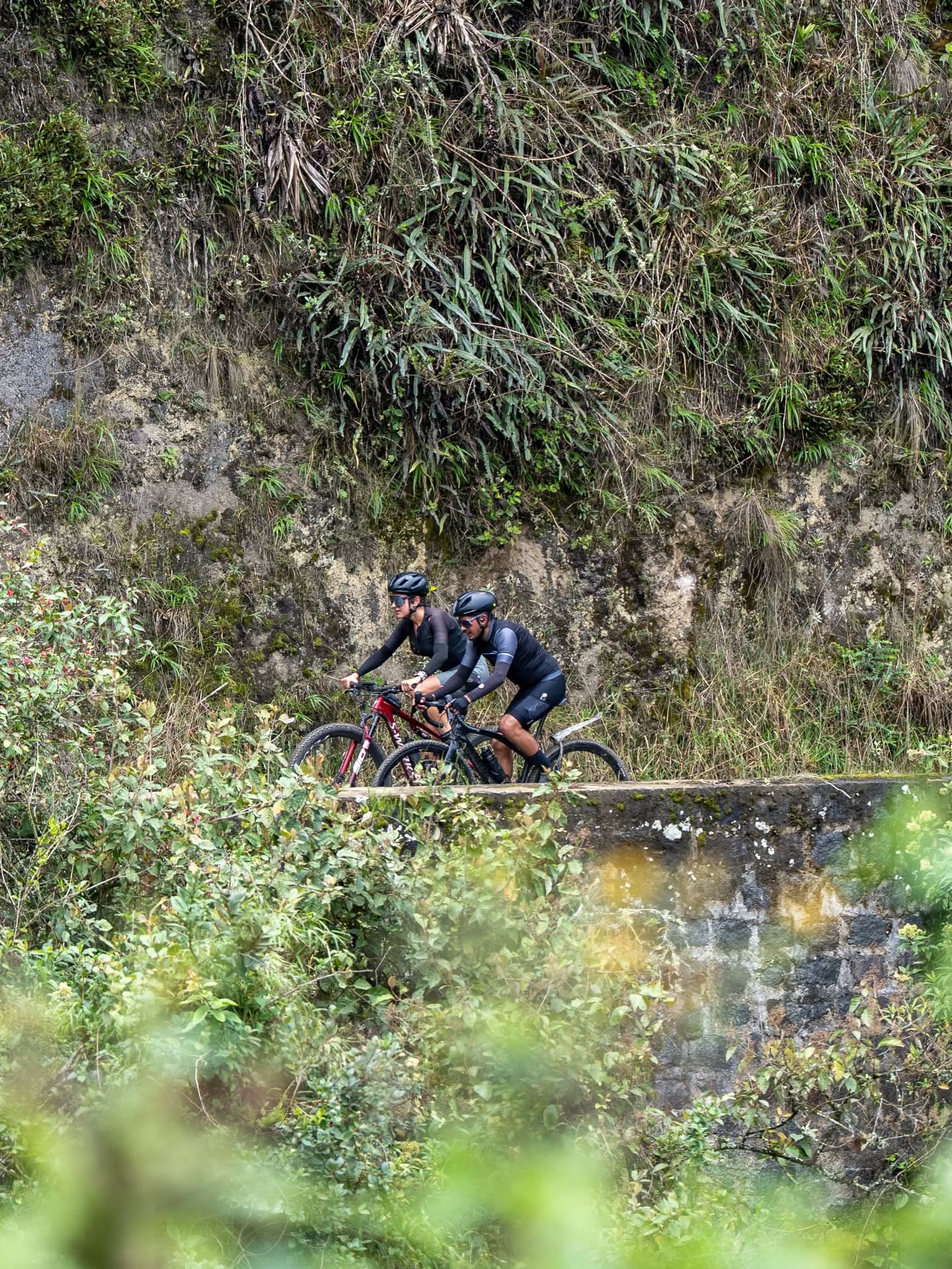 Entramos a la recta final para ese fiestón que vamos a tener en Cuenca.
#Gravelfest , carrera de 130Km auto abastecidos para graveleras y montañeras por los hermosos lastrados en los alrededores de Cuenca.
Llegada en Turi, @naturhotel_ , un espectacular lugar para pasar la tarde con amigos, buena comida, unas 🍻, DJ, y la mejor vista de Cuenca.
¡No te pierdas el cierre de la temporada 2025!
Evento gracias a:
@lap.ccc
@setecientos.cc
@specializedec
@toscana.alimentos
@lataqueria57cue
@593premiumlager
@pecoburger.ec
@trattoriamurano.ec
@sorell_gelato
@italdeliec