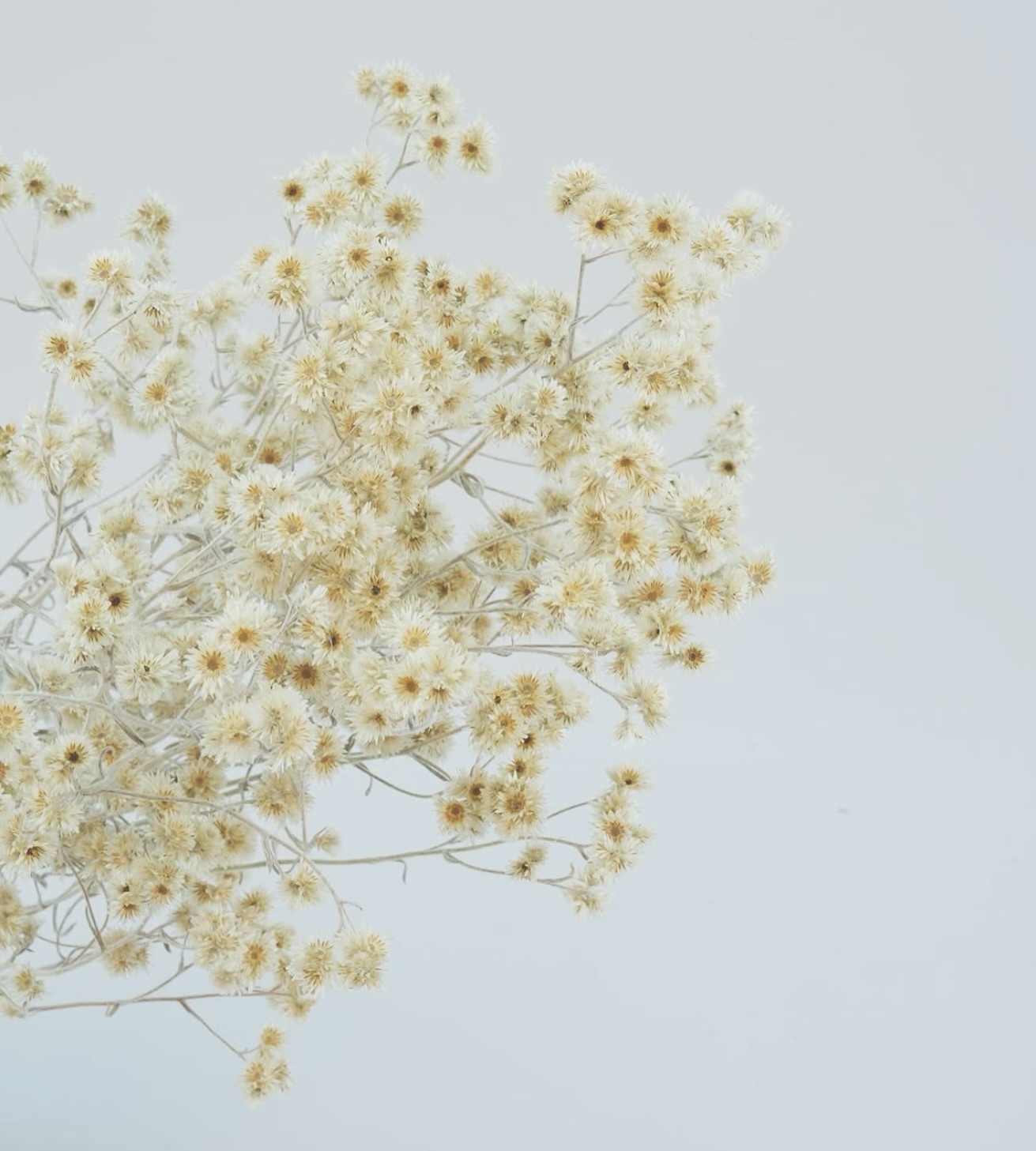 ~DM to shop~
Ready to shop? Just DM me for pictures and videos of our in-stock items in your size! Need help with styles or fit? Let’s FaceTime! It’s super easy and convenient!
#childrensboutique #vintagekidsclothes #handmadechildrensclothes