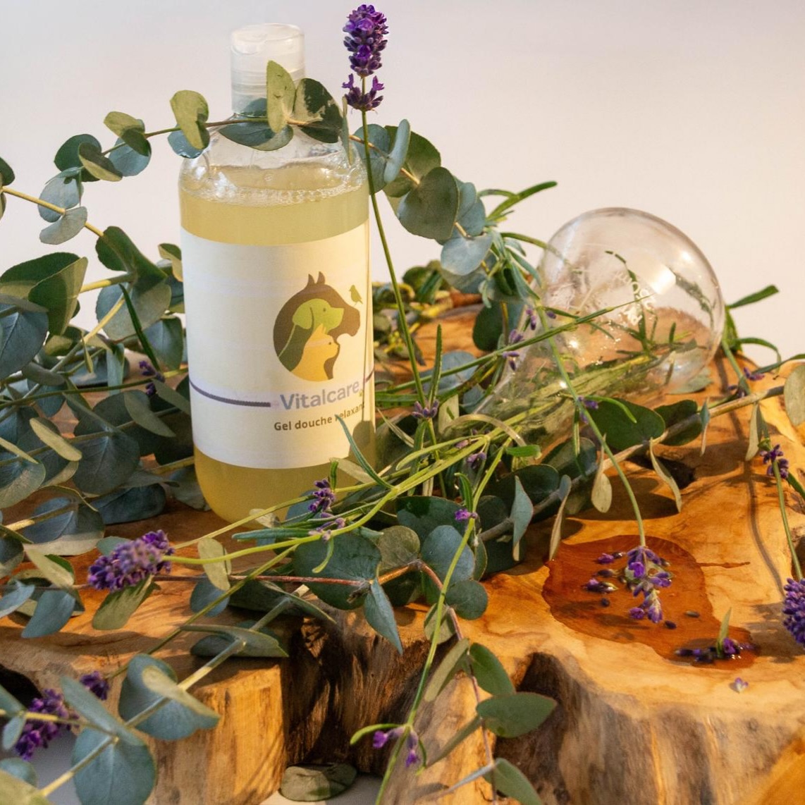 ✨ Le moment détente qu’ils méritent
Offrez à votre compagnon un véritable rituel de bien-être grâce à notre Gel Douche Relaxant 🌿🐾
Formulé avec de l’eucalyptus citronné et de la lavande vraie, il apaise, rafraîchit et aide à éliminer toutes les petites impuretés de la journée.
💛 Propriétés clés :
• Effet apaisant & relaxant
• Douceur pour la peau et les zones sensibles
• Action purifiante et naturellement répulsive contre les insectes
• Idéal après une balade, un effort ou simplement pour un moment cocooning
🛁 Utilisation : à utiliser aussi souvent que nécessaire pour un bain tout en douceur… et un animal parfaitement détendu