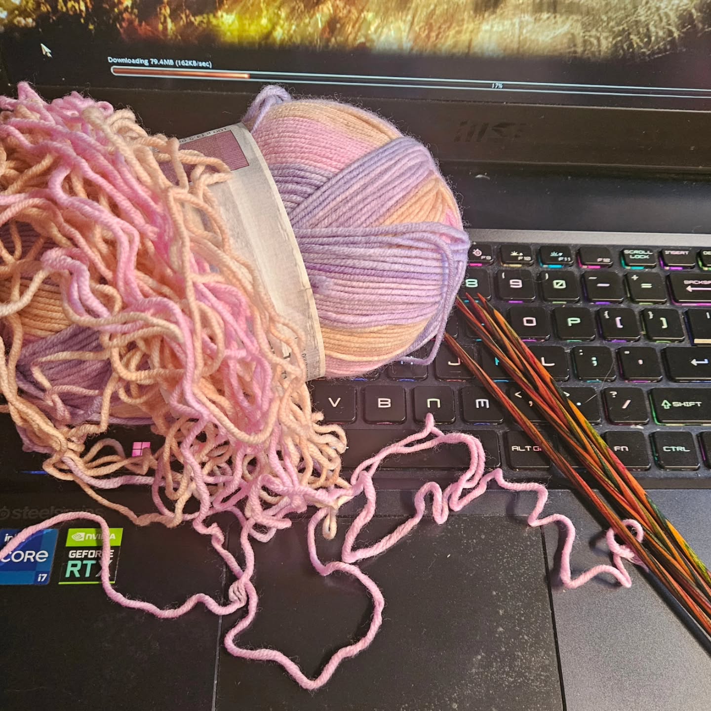 What do you do when you realize your knitting project isn't going to work, but you feel it needs to sit in time-out for a while before you frog it (and you have a cat on your lap and are waiting for the new Guild Wars to load for the first time)? Grab the next thing you can reach and start something new!
This pretty superfine merino yarn will become a pair of long fingerless gloves.