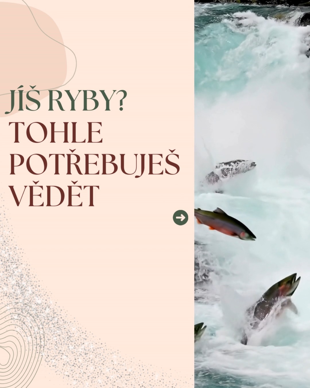 S blížícími se Vánocemi řešíme ryby častěji než během roku. 🎄
A tak je ideální čas podívat se na to, jaký je rozdíl mezi divokou a farmovou rybou – a proč může být výběr kvalitního zdroje pro naše zdraví 🐟zásadní.
.
.
.
#ryby #losos #makrela #sardinky #omega3 #zdravastrava #zdravejidlo #imunita #zanet #ekzem #vyziva #vyzivoveporadenstvi #naturopatie #prirodnimedicina