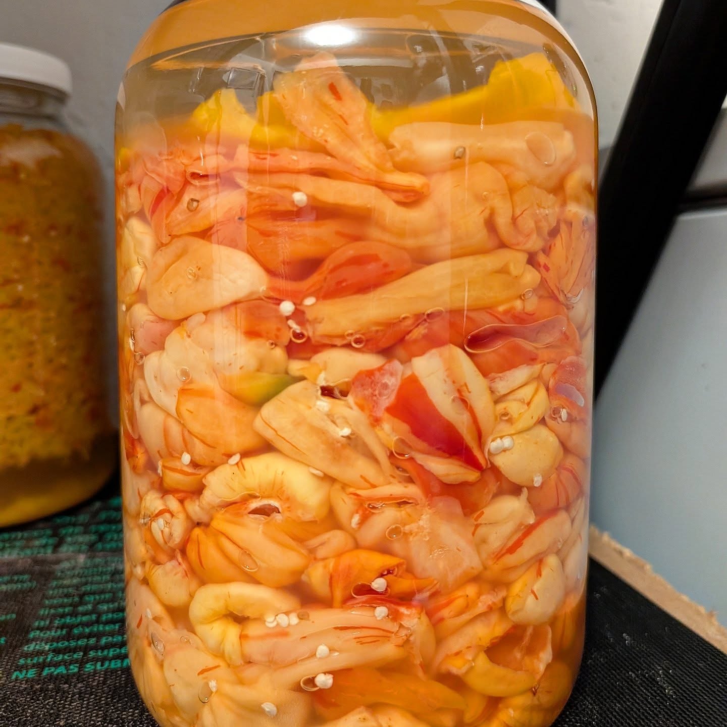 Peppers shouldn't be the 6th ingredient in a hotsauce. Most people don't realize the great tasting flavor many peppers have but the best peppers are not commercially grown so you won't see them in most sauces. Our sauces are pepper specific with very little added besides peppers. Some might call it lazy, we call it high lighting the amazing flavors you won't find elsewhere. The most expensive part of any sauce is peppers and typically just used to add heat to other ingredients. Our peppers are the sauce, and we grow everything you find in our bottles 🤘
•
•
•
#PepperBusiness #HotSauce #FermentedHotSauce #FreshPeppers #PortlandOregon #StJohnsFarmersMarket #PDXPeppers #ChiliPeppers #SpicySauce #ThePepperNursery #ArtisanHotSauce #FreshLocalPeppers #PortlandPeppers #PDXFoodies #PDXFarmersMarket #FarmToBottle #PepperFarm #FermentedPeppers #SpicyFoodLovers #PDXart #LocalHotSauce #PepperGrower #PortlandFarmersMarket #ChiliHeads #FarmersMarketFinds #PDXSpicy