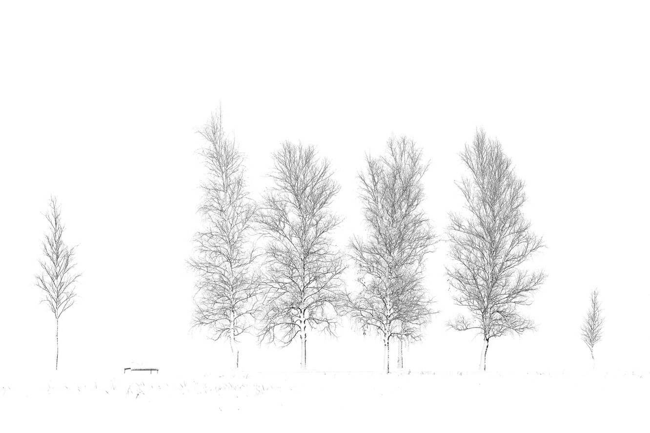 The Misfit(s).
Usually I don’t talk about technique but out in the field I often create panoramic shots to later be able to crop the image to my liking without losing resolution because I always keep printing my images in mind. Two of my clients liked slightly different crops out of the large panorama and today I printed both versions for them - I’m really happy with both images - one has a little bit more negative space and the other one is cropped a little bit tighter. Printed in DinA2 on Hahnemühle Photorag the structure of the paper adds a lot to the finished prints.
Do you also feel that printing your images creates a full circle moment?