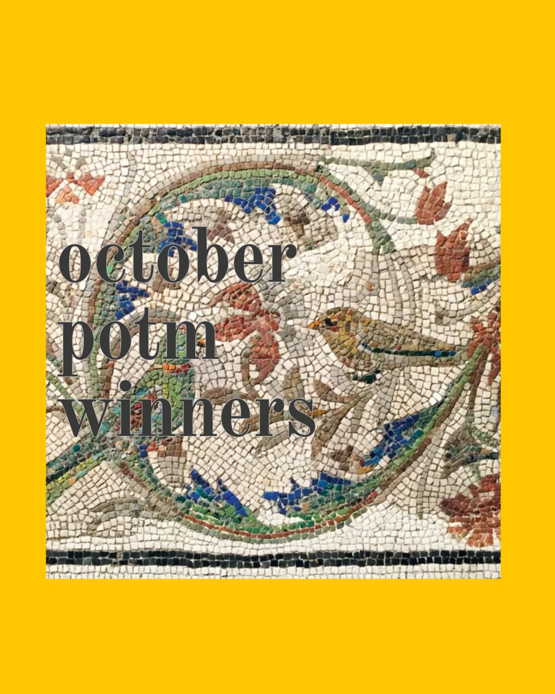 the october photo of the month results are out!!! major shoutout to everyone who submitted… the photos were all so incredible!! don’t forget to submit to the november potm (due november 30th)
congrats to winner lilly chill and runner ups elizabeth link and ethan lo 🥳🥳