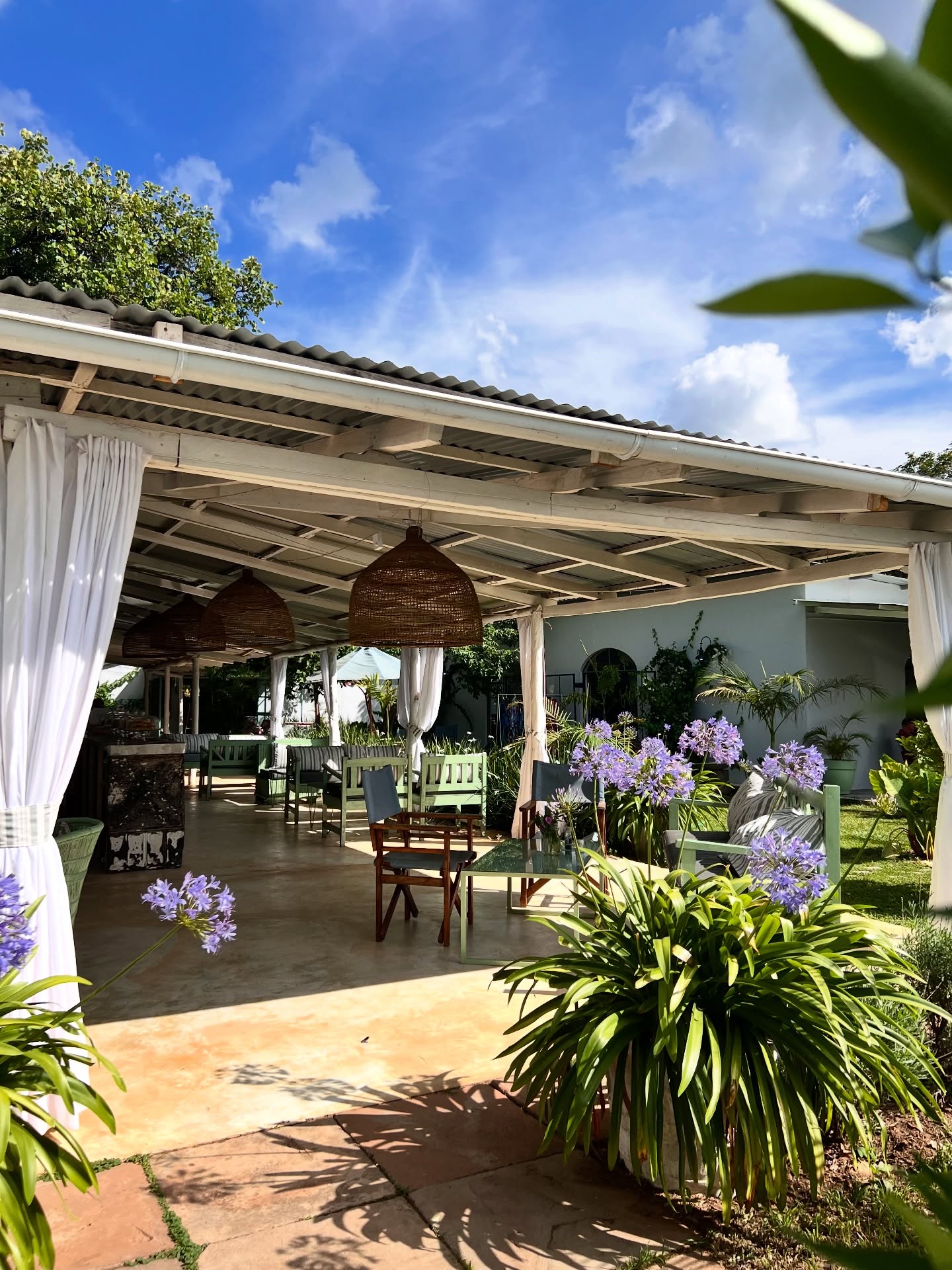 Set in the beautiful Sugarbush Café, Jackal & Hide has everything you need this Christmas. Stop by for lunch and check out our three showrooms with bags, accessories, homeware, carpets, rugs and stunning furniture on display.