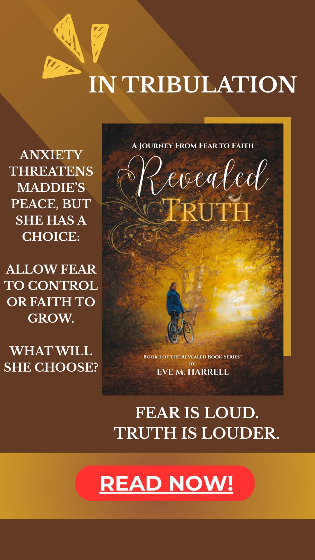 A story of breakthrough! ❤️
If you haven’t read Maddie’s story of overcoming—now is your chance! And if you have, be inspired once again.
#faithoverfear #revealedtruthbook revealedbookseries