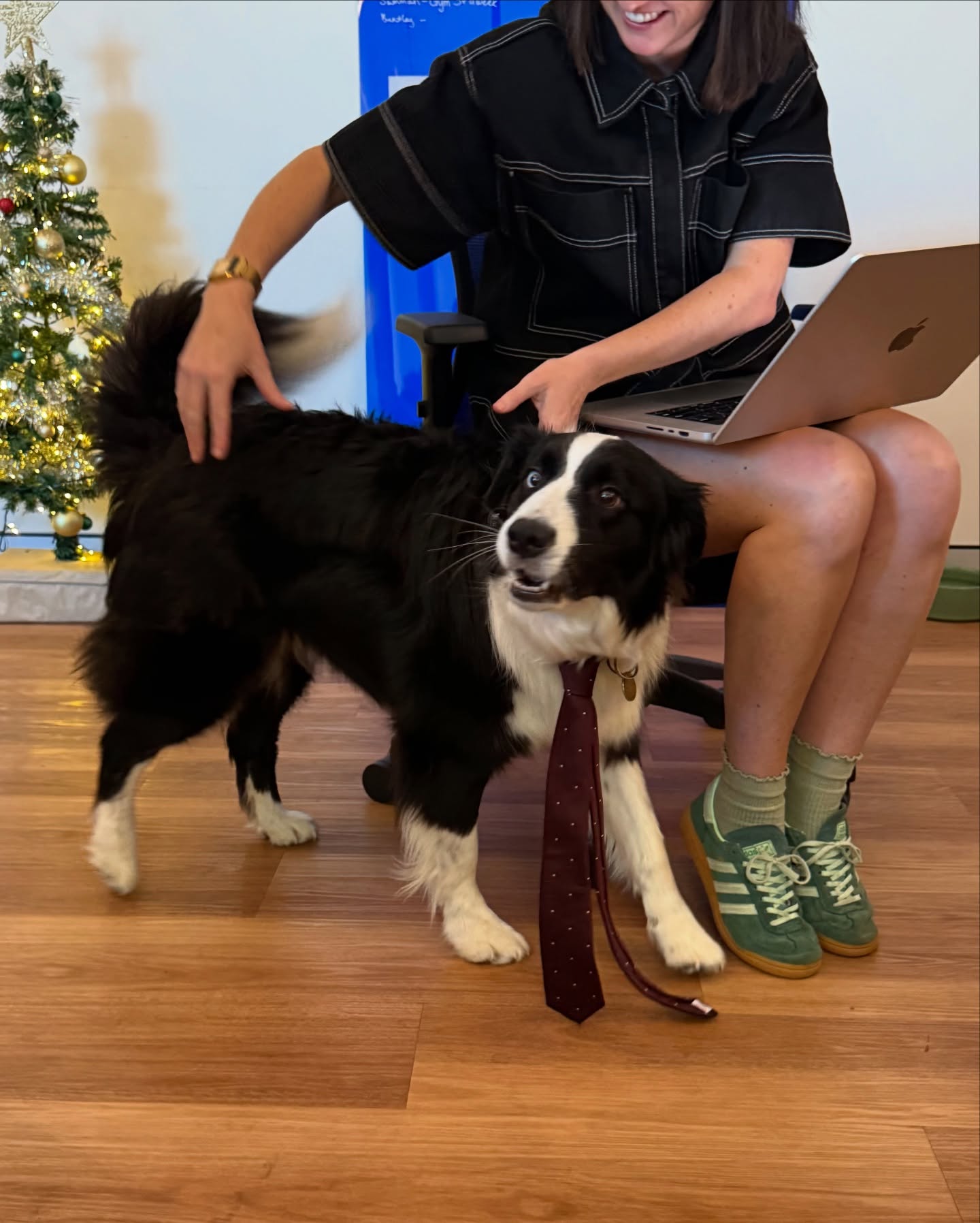 Merry Chrysler, love big dog xoxo