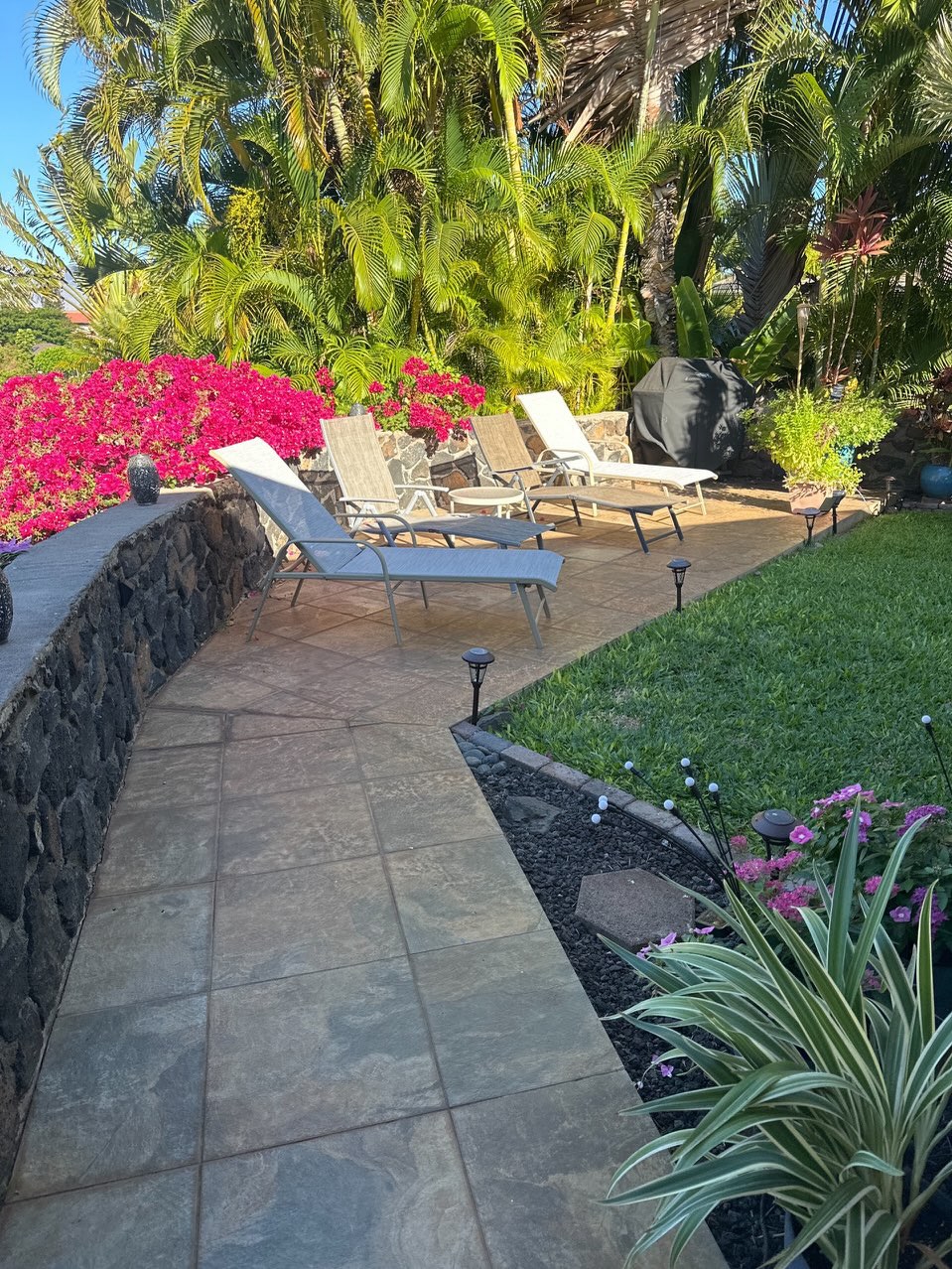 Been wondering what we’ve been up to??
Check out these photos from some fun projects we’ve done in the past few weeks!! 🛠️👨🏽🔧😎
#hawaiihandyman #awning #backyard #fencing #showerreno
