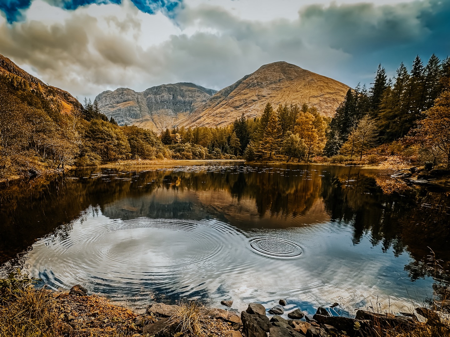 Found this hidden gem lurking on my hard drive… and honestly, how did I forget about Bidean Nam Bian looking this dramatic?
Golden autumn colours, perfect reflections and those little ripples catching the light — Glencoe really is beautiful.
Had to give this one its moment.
Where’s your favourite place in the Highlands?
#Glencoe #BideanNamBian #ScottishHighlands #ScotlandPhotography #VisitScotland #ScotlandLovers #HighlandsOfScotland #LandscapePhotography #NaturePhotography #WanderScotland #WildScotland #ExploreScotland #ScotlandExplained #ScotlandInAutumn #Lochside #MountainViews #UKEscapes #DiscoverScotland #ScottishLandscapes #ScenicScotland #ScotlandIsNow #LoveScotland #AdventureScotland #ExploringScotland #Glencoe