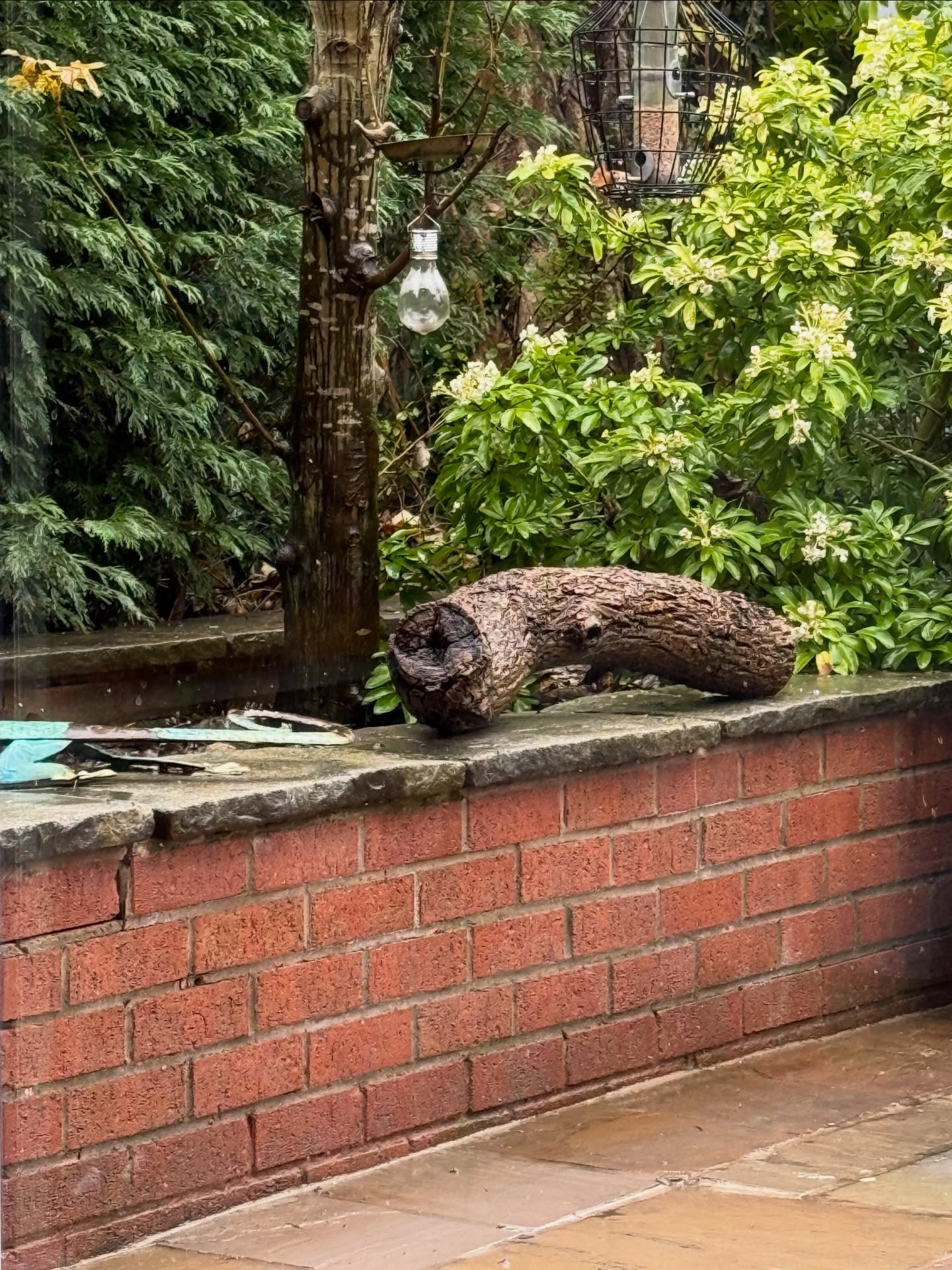 ☔️ It might be another wet and soggy Saturday but the weather isn’t going to dampen the fabulous week I’ve had in and around the therapy room. 💪
🗣️ I spent a hectic, but enjoyable, 24 hours in London last weekend visiting family and I’ve met new and current clients this week. I can’t express enough how grateful I am to those of you spreading the word to family and friends about the work I do.
🤔 And yes, there are still days when I have to pinch myself and ask when did my life start looking like this!?
📝 I’ve had another couple of heartwarming reviews too, the most recent is above (photo 3) I really enjoyed working with this lovely client. She came to see me last year for help with anxiety and she returned this year for help with something of a completely different nature - and it’s fair to say she has been blown away by the results. ⭐️
😊 So the main message on this soggy Saturday is thank you very, very much. 😊
🌼 Have a good weekend, whatever you have planned - and remember to find some time just for you x
#london #family #hypnotherapy #healing