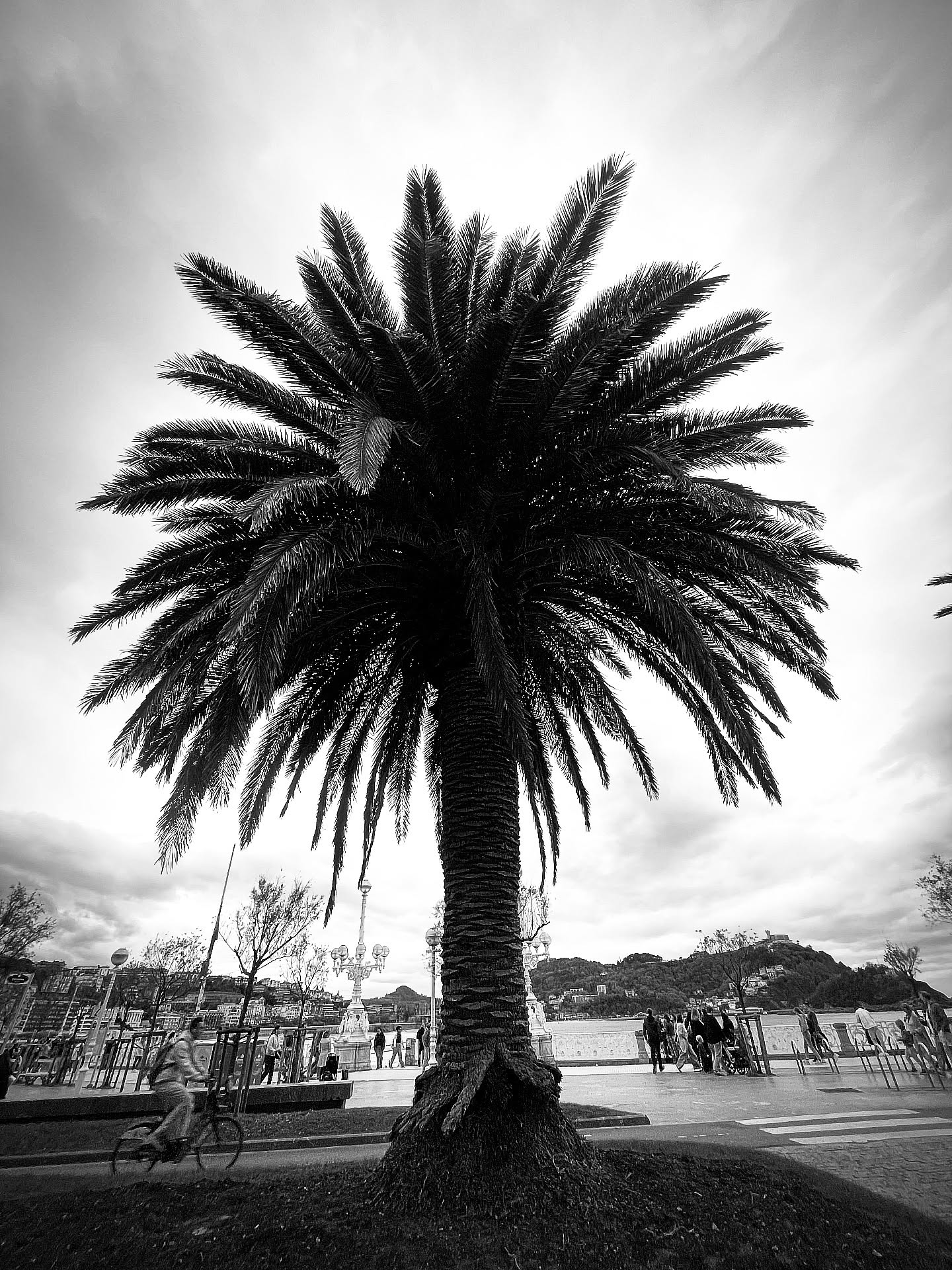 And we all know …. The best is yet to come 🙏🏽⚡️✨🌴
~
~
~
#bepresent #itmovesintoyourfuture #secbysec