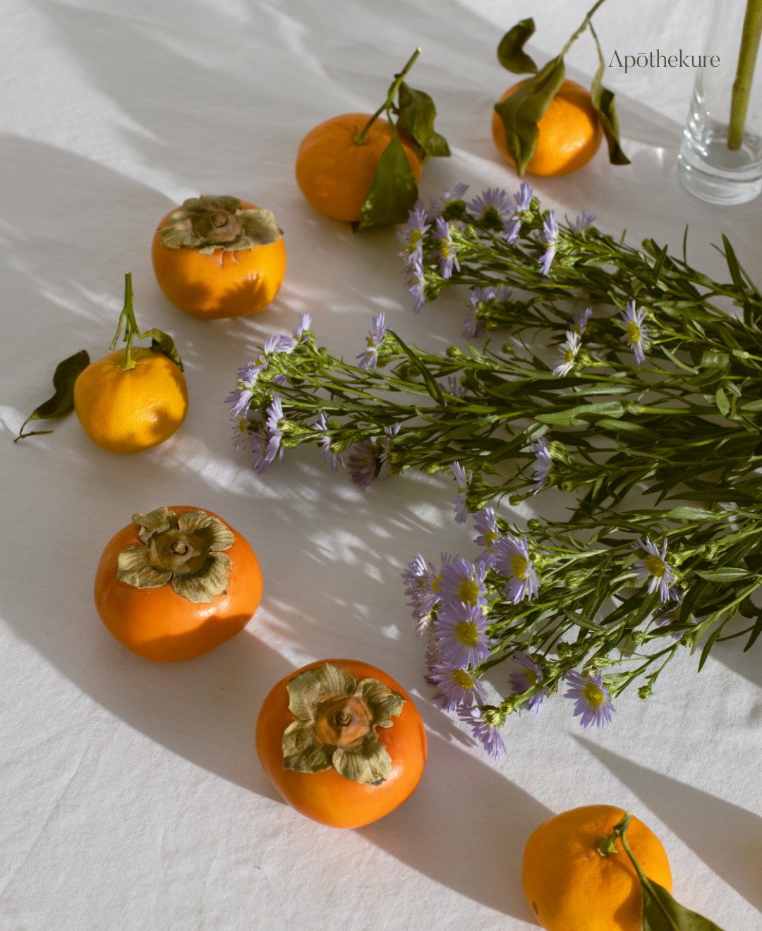 It’s important to find ways to keep our bodies hydrated and take good care of our lungs. 🍊 Persimmons are a great way to do just that! These sweet fruits offer benefits needed to combat the weather, moisturizing the lungs, relieving coughs, and promoting the production of body fluids.
Persimmons can also tonify yin and clear heat while resolving phlegm. Keep your body healthy with the nourishing goodness of persimmons!
By the way, our newsletter is a great way to stay informed on the latest in health and wellness. 🔥 We’ll send you the best content related to Chinese medicine and wellness every week. Get more information on how to live your best life. ✨ Sign up now in the bio link. 💜
.
.
.
.
.
#PersimmonPower #persimmons #hydrate #TCM #healthyliving #energymedicine #traditionalchinesemedicine #chineseherbs # #integrativehealth #herbalremedies #medicinalherbs #beyourbestversion #youllbeokay #fuelforthemind #behealthybehappy #takecareofyou #beyourbestyou #youllbefine #optimumhealth #wellnesstip #wholebodywellness #mywellnessjourney #balancelifestyle