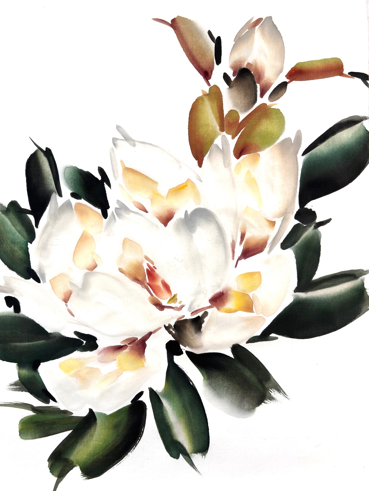 Once upon a time, a restless lotus longed for fire instead of water. So the mighty Creator lifted it from the pond to a tree and set a torch at its heart. Though the Lotus, Magnolia, and Waterlily have different lineages, natural evolution shaped them into kindred forms. But more than this, cultures across time recognized their shared spirit making them true “Soul Sisters” in name, myth, form, and meaning.
Join me this winter to learn the subtleties, nuances, and joys of painting the Chinese Magnolia, Egyptian Blue Lotus, Magnolia Grandiflora, and the classic Sacred Lotus @ mayeefutterman.com/classes
#chinesebrushpainting #artclasses #magnolia #lotus #bluelotus #chinesemagnolia #ink #ricepaper #watercolor #soulsisters