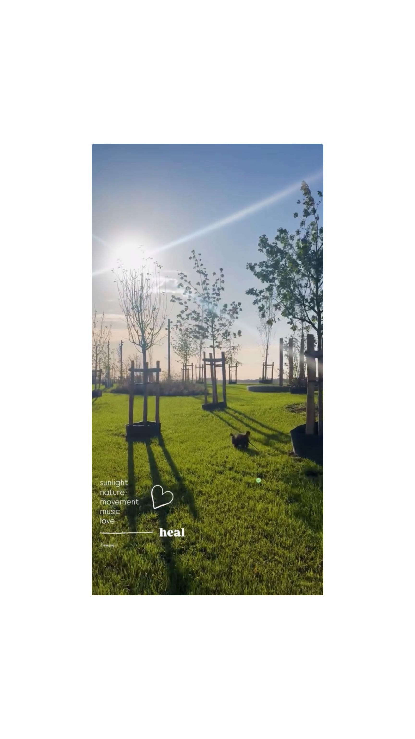 ☀️🌳♥️🎶