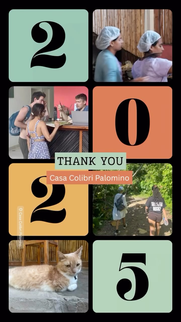 ✨ ¡Gracias, 2025! ✨
A todos nuestros encantadores huéspedes, amigos y al increíble equipo: gracias por hacer de este año algo inolvidable. 💛
Sus sonrisas, sus historias y su presencia llenaron de vida nuestra casa de huéspedes. Agradecemos cada momento compartido, cada aventura y cada conexión creada aquí en Palomino. 🌿🌅
Por más recuerdos, más naturaleza y más conexión.
Con cariño, Casa Colibri Palomino. 🕊️✨
✨ Thank You, 2025! ✨
To all our lovely guests, friends, and the incredible team — thank you for making this year unforgettable. 💛
Your smiles, your stories, and your presence filled our guest house with life. We are grateful for every shared moment, every adventure, and every connection created here in Palomino. 🌿🌅
Here’s to more memories, more nature, and more connection together.
With love, Casa Colibri Palomino. 🕊️✨
#Gracias2025 #CasaColibriPalomino #PalominoLaGuajira #ViajaPorColombia #AventuraColombiana #RetiroTropical #HospedajeEco #ExperienciaDeViaje #RecuerdosInolvidables #ColombiaEsHermosa #AmorPorLaNaturaleza #VibrasBonitas #ComunidadColibrí #GraciasPorVenir #NosVemosPronto #ThankYou2025 #CasaColibriPalomino #GratefulHeart #PalominoColombia #LaGuajira #TravelColombia #TropicalRetreat #EcoLodgeLife #GuestExperience #ColombiaTravel #AdventureAwaits #NatureLovers #CommunityVibes #MemoriesMade #SeeYouSoon
