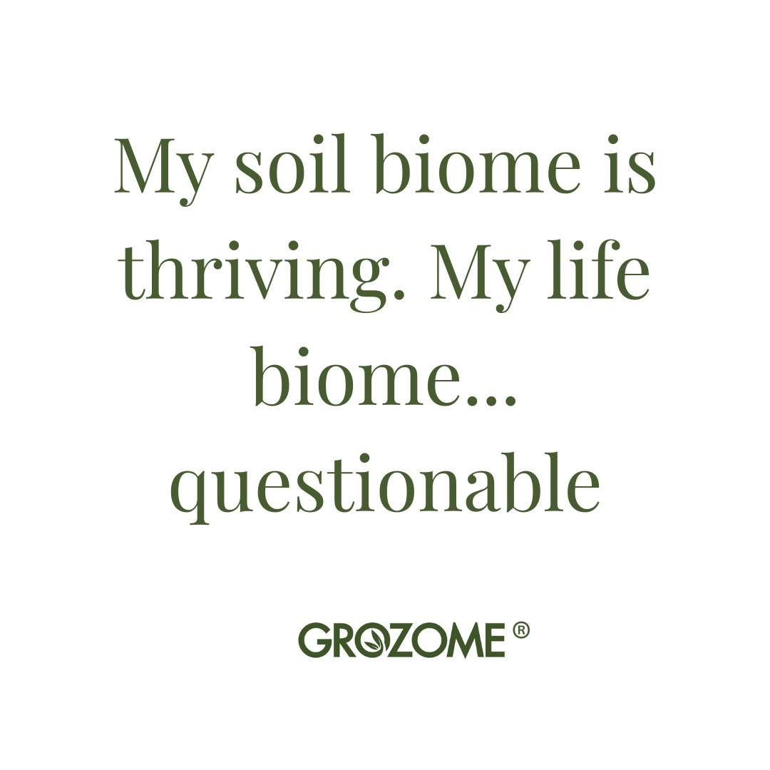 POV: I can keep a whole ecosystem alive in a pot⊠but my personal ecosystem is running on iced coffee and optimism.
#indoorplantcare #gardeninghumor #relatable #selfcareishard