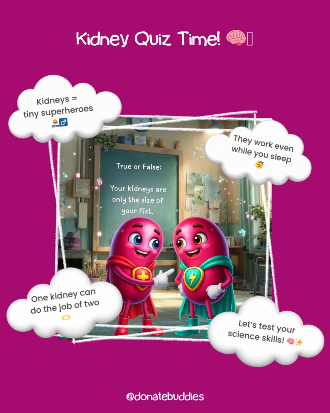 Kidney Quiz Time! 🧠🩵
True or false?
👀 Kidneys are the size of your fist
😴 They work even while you sleep
💪 They help your bones stay strong
🥤 One kidney can do all the work!
How many did you get right?
(Answers: True, True, True, True!) 🌟
Want to learn more about Katie and Kenny the Kidneys? Head to 👉 https://www.donatebuddies.com.au/katie-and-kenny-the-kidneys
#DonateBuddies #WonderWednesday #KidneyQuiz #KidsLearn #ScienceIsFun #CuriosityForKids #OrganDonationAwareness
⚠️ Disclaimer:
Donate Buddies shares educational content to raise awareness of organ and tissue donation in Australia. It is not medical advice. Please seek guidance from your healthcare professional or transplant team for personal medical concerns.