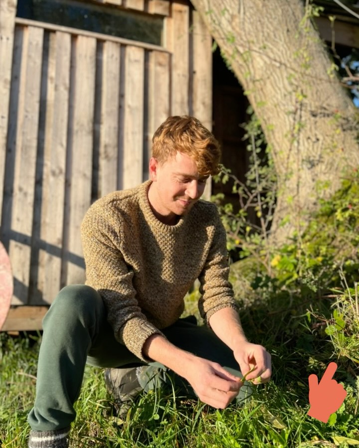 What are your faves to forage this time of year?
These are mine, I just finished making an insane pesto using three cornered leek and garlic mustard (jack by the hedge!) and it blew my mind.
#winterforaging #threecorneredleek #garlicmustard #hawthorn #wildberries #wildfood