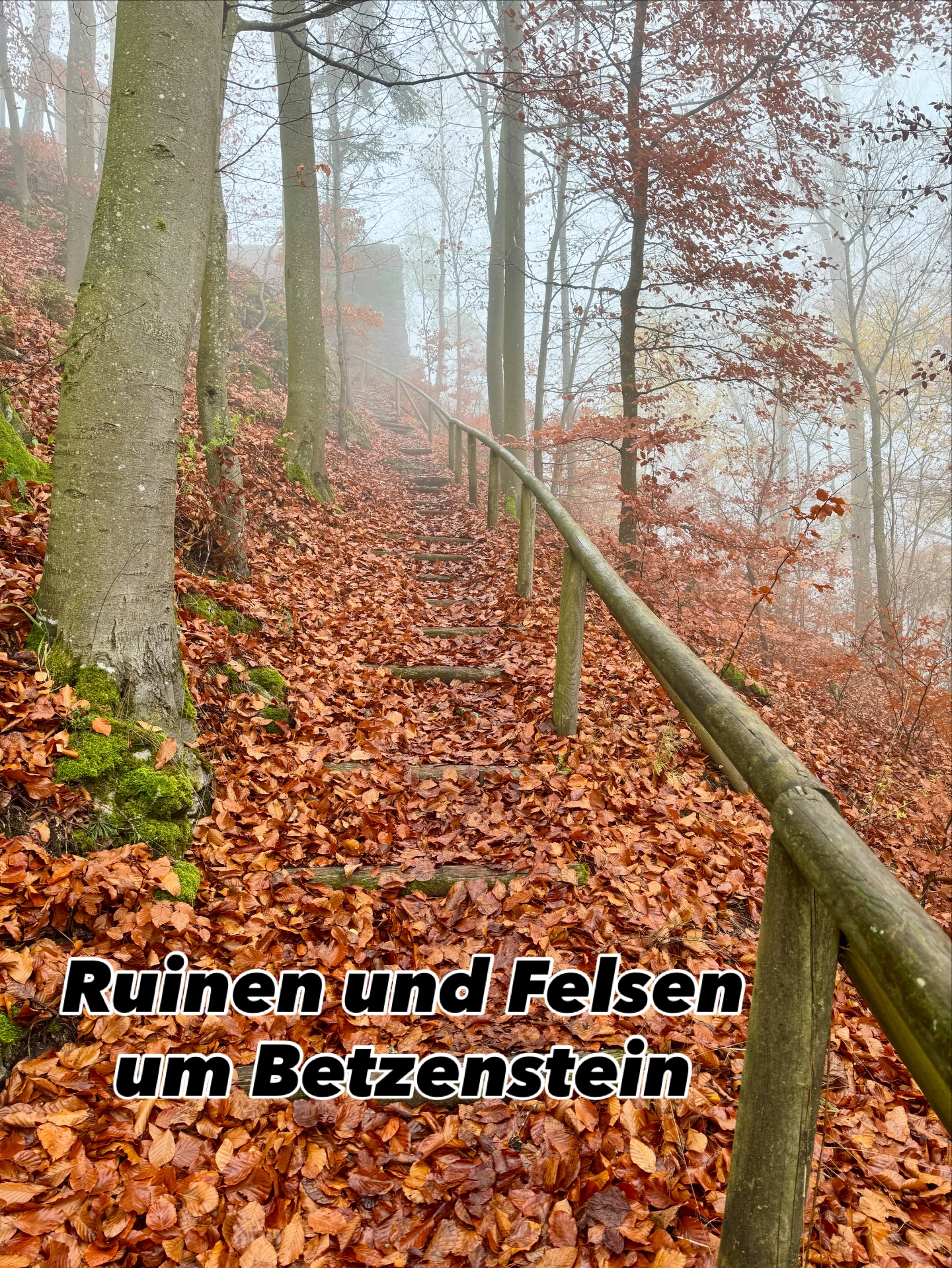 Herbstwanderung in ganz besonderer Atmosphäre. Dichter Nebel um den Gefrierpunkt konnte uns nicht aufhalten. Das lange Laufen in tiefem Laub machte besonders Spaß.
