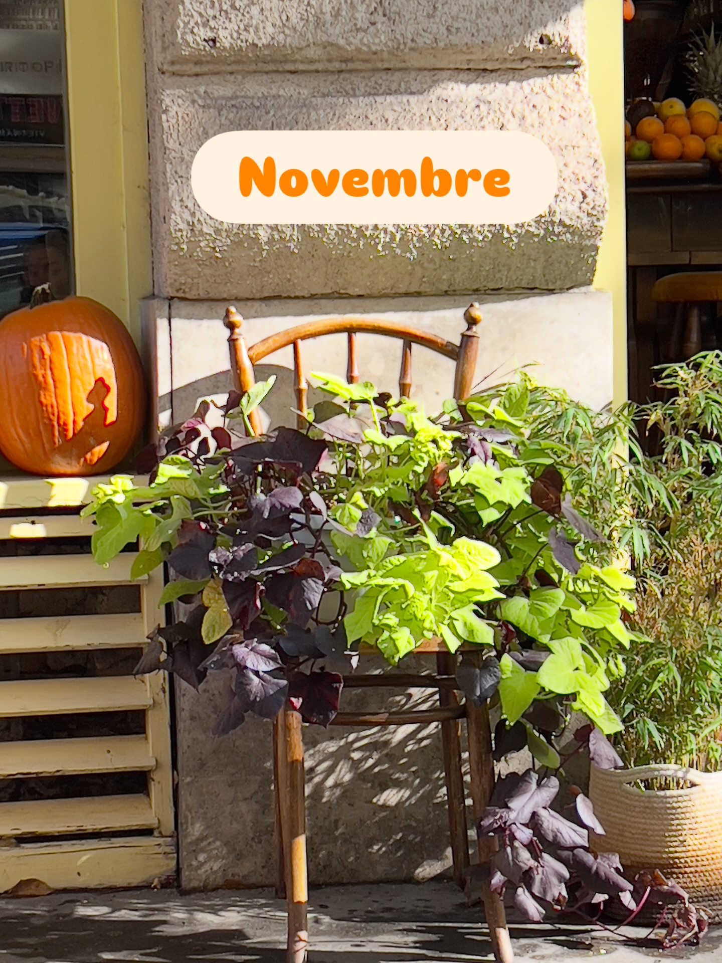 Un certain regard sur Novembre.
#november #annecylife