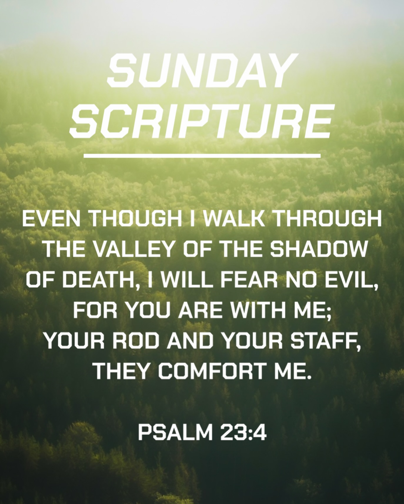 Have a blessed Sunday everyone🙏
.
.
.
#sundayscripture