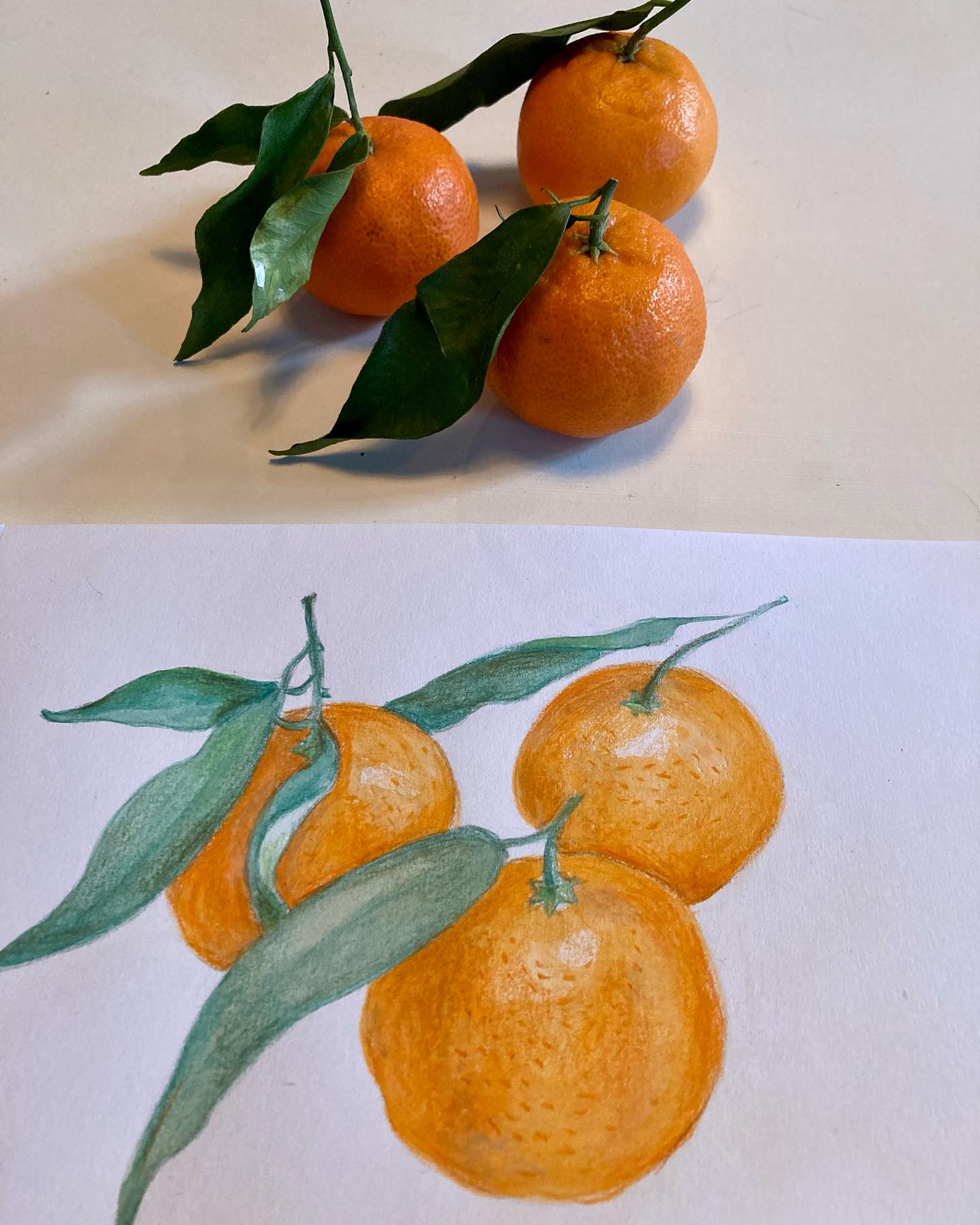La clémentine (ou plutôt la mandarine, selon la Diététique Chinoise)
Un dessin perso, ma recette préférée!
La mandarine (ou clémentine) est de nature fraîche, de saveur douce et acide, elle a pour tropismes Poumon/ Rate. Comme beaucoup de fruits de saveur douce et acide, elle génère les liquides, apaise la soif, traite la sécheresse de gorge, du Poumon et de la peau. Elle traite aussi bien la toux sèche que la toux grasse, car elle dissout aussi les mucosités, surtout les mucosités chaleur (par sa nature fraîche) et facilite l’expectoration.
Elle régularise le QI du Foyer Moyen et aide la digestion. Elle fait baisser la tension.
Le plus intéressant toutefois dans la mandarine, c’est sa peau qui est beaucoup utilisée en Dietetique et Pharmacopée chinoise, sous la forme de Chenpi, vieille écorce de mandarine. De nature tiède, de saveur piquante et amère, de tropismes Rate/ Poumon, c’est un grand remède contre les stagnations d’aliments, la toux et contre la cellulite (c’est de la peau qui traite la « peau d’oranges »).
Ma recette préférée: Le tajine de poulet aux mandarines (la recette sur mon blog, lien dans ma bio).
#clementine #clémentine #mandarine #mandarines #bienfaitsanté #bonpourlasanté #remèdenaturel #remedecontrelatoux #dietetiquechinoise #madreperlamtc