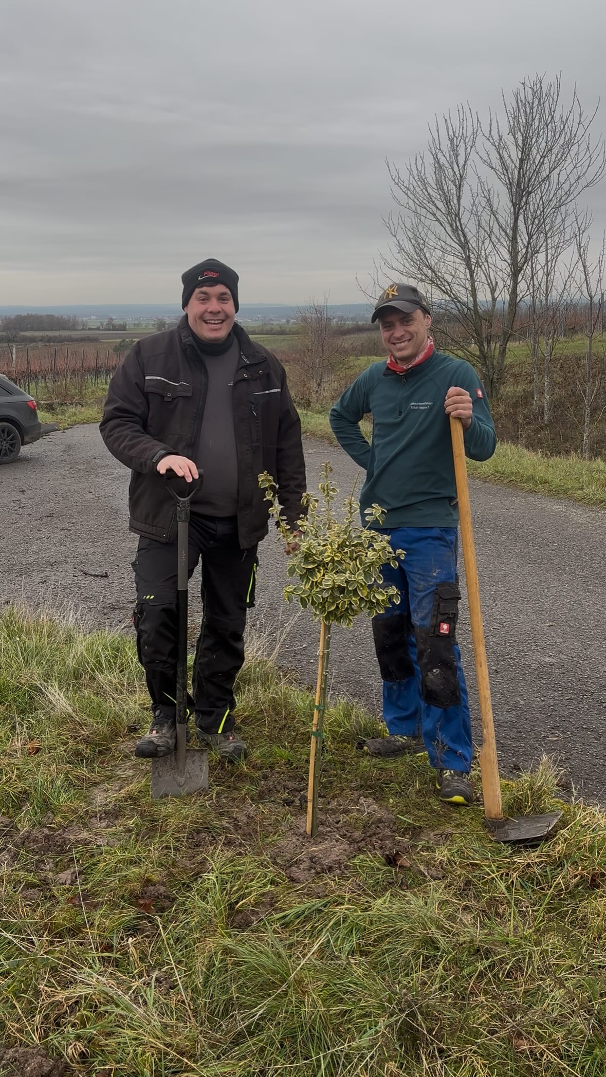 Heute haben wir unseren Beitrag zur Baumpflanz-Challenge geleistet 🌳
Ein kleiner Baum – aber ein Schritt in die richtige Richtung.
Danke an alle, die die Aktion unterstützen und weitertragen!
Jetzt seid ihr dran 👉
#BaumpflanzChallenge
@gammgirls
@weingutfamiliefroehlich
@fischer_landtechnik treutlein_bioenergie
#2025 #franken #baum #challenge #landwirtschaft #weinbau #weingut #lohnunternehmen #frankenwein #weinberg #grün #natur #wirsinddabei #baumpflanzchallenge #baumpflanzenfürsklima #silvanerheimat #wein #kletterspindel #weingut #landwirtschaftistleidenschaft #fendt #ERO #Binger #technik #baumfotografie