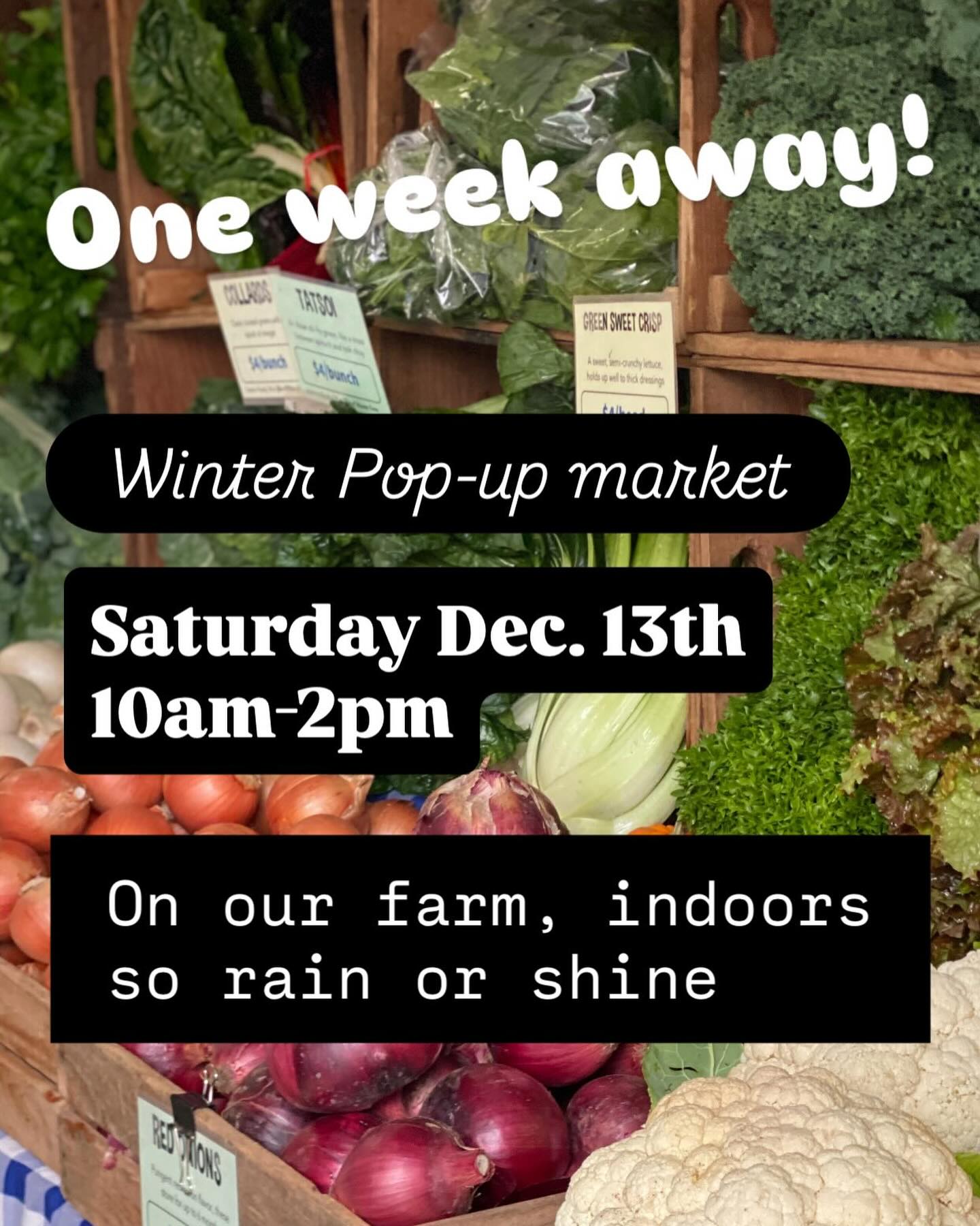 Hope to see you there! We will have so many goodies:
-fresh vegetables
-storage vegetables
-ferments
-maple syrup
-homemade baked goods, sweet and savory
-preorder quiches and pies
-market CSA cards: replenish or become a new member