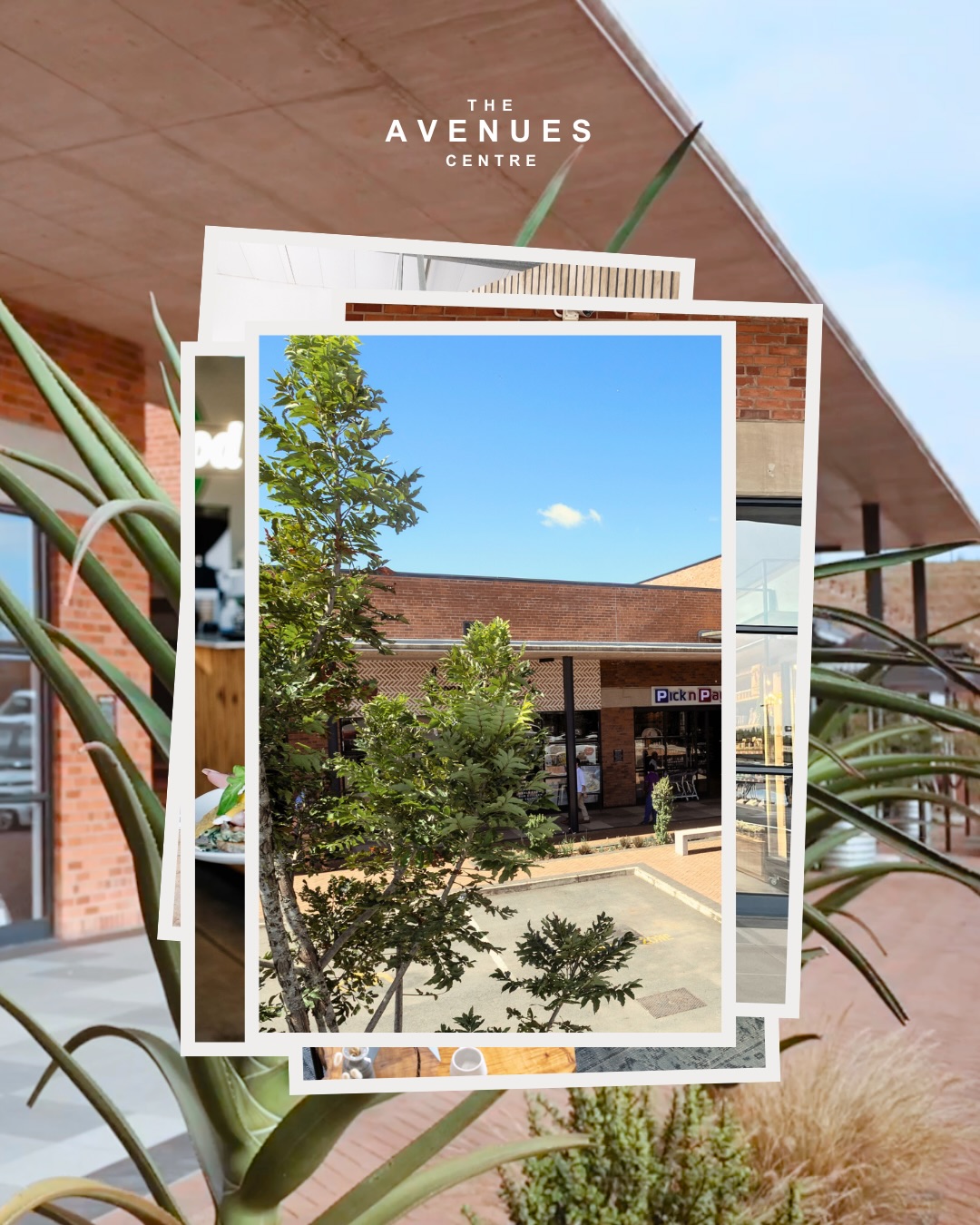 Meet more of the community at your doorstep... the neighbours who make The Avenues feel like home 🌿🏡
From trusted services to unique local gems, The Avenues Centre brings together the people and places that make Hilton living so effortless. When you live at The Avenues Estate, connection and convenience are always just around the corner.
#EstateLiving #LocalConvenience #LocalLiving #CommunityHeart #HomeSweetHome #FamiliesInHilton #LocalResidents #PropertyInvestors #EasyLiving #Connection #QualityLifestyle #Neighbourhood #TheAvenuesEstate #TheAvenuesCentre