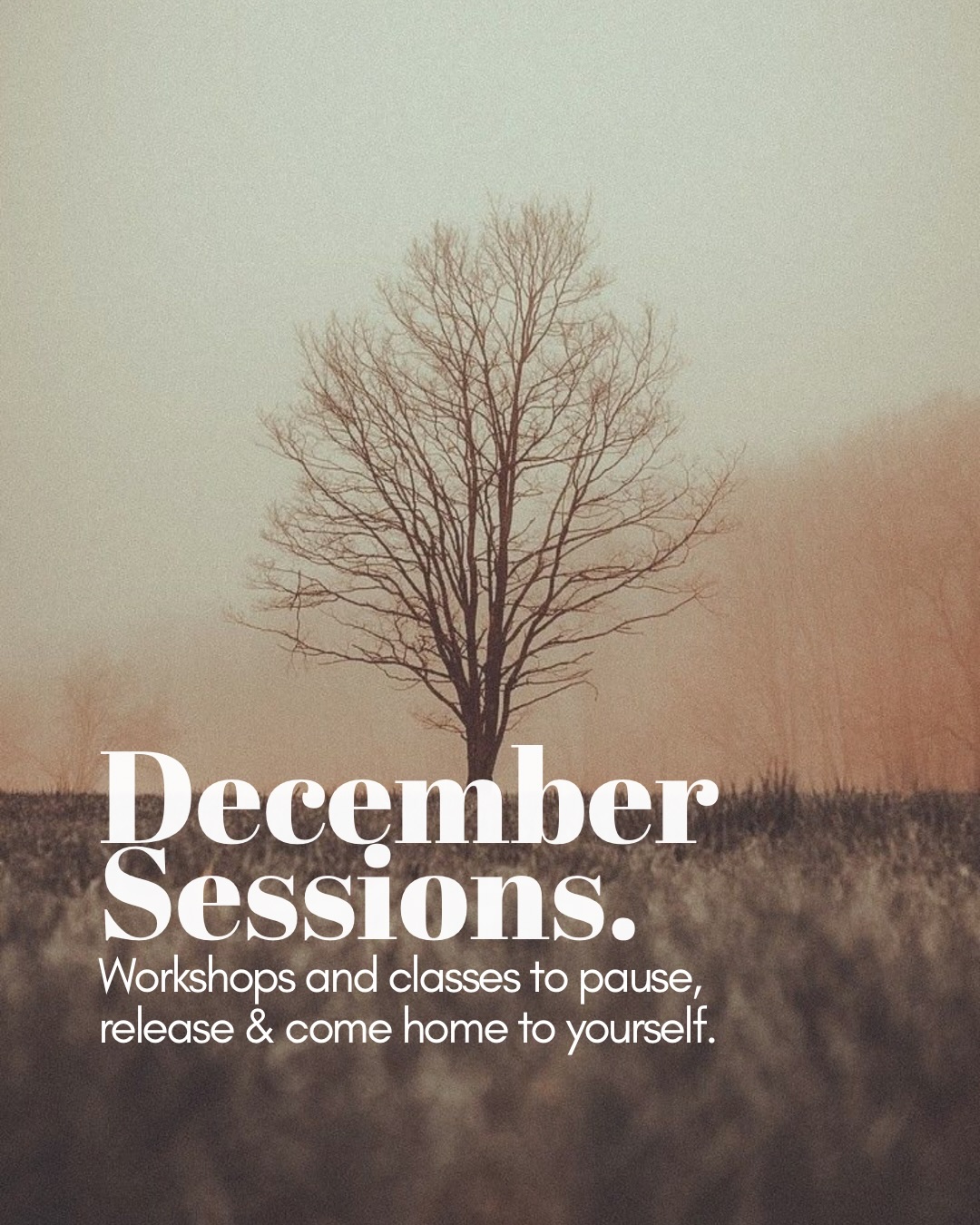 Whether you’re grabbing December by the baubles, savouring the slow down, or sitting somewhere in between… this is your reminder not to get swept away by the end-of-year-ness of it all.
There is still space for you.
A place to breathe, to land, to feel held.
I’ve got a handful of offerings to support you through this holiday season: one last workshop to close the year, a beautiful New Year half-day retreat to ease you into January, and for all the parents who can’t take big chunks of time… we have our final Baby Sounds session too.
Come and be held, exactly as you are.
>>>>> swipe for event details or scroll down for full schedule.
And if you’re already dreaming beyond December…
I have a whole wave of January sessions coming soon.
December Schedule:
07th: 2pm - 4pm Breath & Sound Journey for inner compassion @oru_space
08th: 1.45pm Breathwork into Sound. A weekly class to help you soften into your week. @oru_space
10th: 8.15pm Sound Healing. A weekly sound journey to bows, gong, rattles & chimes.
11th: 11am Baby Sounds. Our monthly sound session for babies and their caregivers. @micayogastudio
*last weekly class of the year is Wednesday 17th
January:
04th: 2pm - 5pm, New Year Breath & Sound Journey to rest, root and rise.
16th: 7pm - 9.30pm New year, New moon Breath & Sound Journey to begin your year and gently close the last. @micayogastudio
17th: Cognitive Health Series: a scientific and experiential afternoon retreat and workshop
exploring the interface of breathwork, mindfulness, and creative therapy. @oru_space
31st: ALL NIGHT GONG @micayogastudio
How ever you choose to tend to yourself this season, I am wishing you a gentle December.
And if you are looking for a space, I would love to be your guide.
Love
Ali xx
.
.
.
Breathwork / soundhealing / mum and baby / self healing / self care / spiritual journey / somatic release / rest / London events
.
.
.
#slowdown #retreat #healing