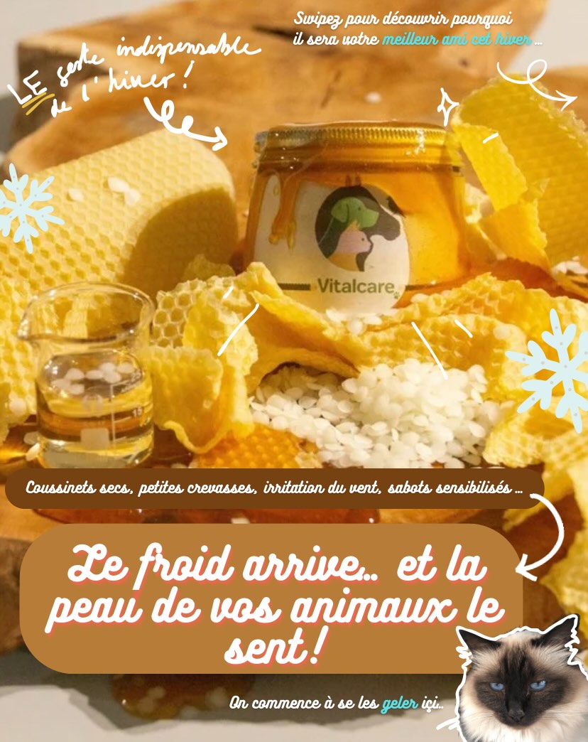 Le froid arrive… et la peau de vos animaux le sent !
Coussinet secs, petites crevasses, irritation du vent, sabots sensibilisés…
Apivitaé, notre baume naturel au miel, devient LE geste indispensable de l’hiver :
🐝 Miel : antibactérien + cicatrisant → protège des micro-fissures
🌼 Calendula : apaise les rougeurs & démangeaisons
🌿 Jojoba : nourrit en profondeur
🐾 Cire d’abeille : forme un film protecteur contre le froid & l’humidité
✨ Résultat : peau apaisée, coussinets protégés, sabots nourris… tout l’hiver.
Un seul baume, des dizaines d’usages !
Vous aussi commandez votre baume magique pour soigner la peau de votre poilu cet hiver !
Lien du site internet dans la bio