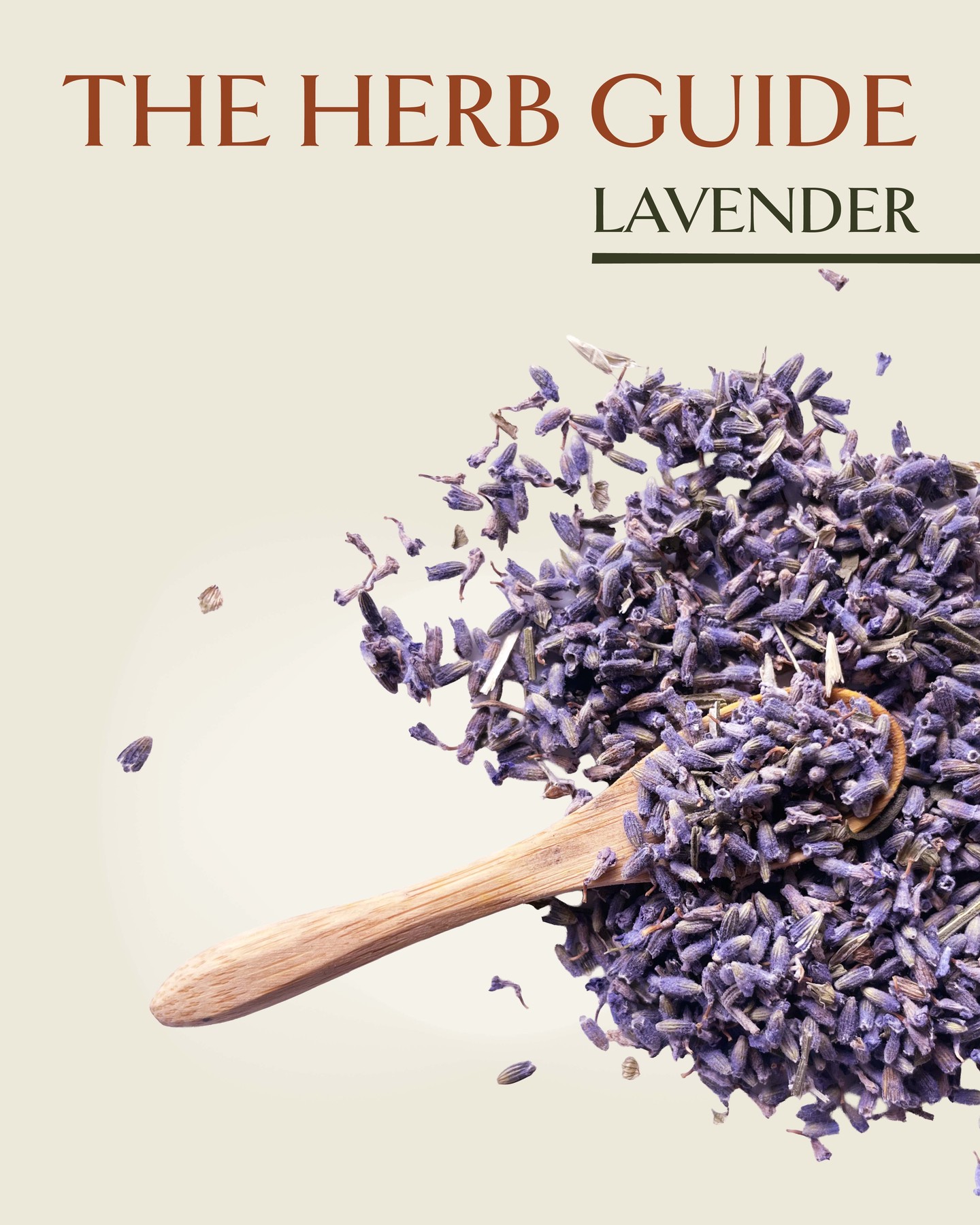 Lavender.
More than a scent. A long-held companion for rest and ease.