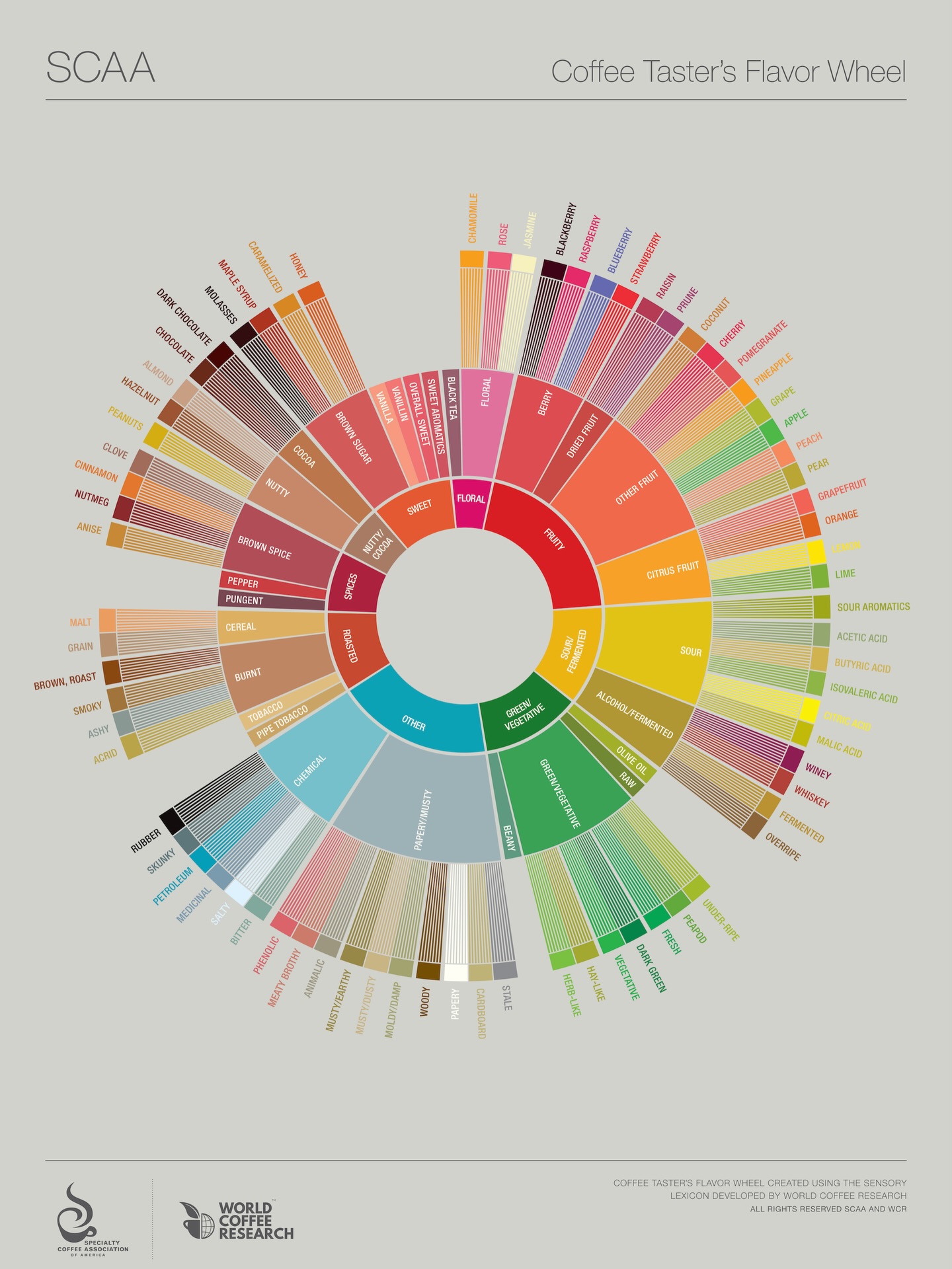 What flavors would you like in a dark roast?
This is the SCA Coffee tasting wheel used by roasters, baristas, and Q graders as a guide when cupping coffees. Although we have a flavor profile and bean in mind, we want to hear from you.
For dark roasted coffees you’ll usually look to the upper left quadrant as a base-line for the desired profile but floral and fruity flavors can be achieved with roasting and terroir considerations.
We’re now looking to order samples from Honduras for our new dark roast but based on your input we could look to Colombia, Guatemala, or Mexico. Exciting stuff!
#coffee #wa #pnw #coffeecoffeecoffee