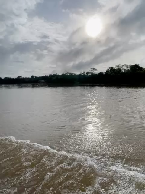 🌍 #robusta may be a bad word in specialty coffee, but we’re on an adventure to find a medium amount and maintain full traceability to an extent few achieve… about 10+ hours from our normal mountain range in an area where banking and general services are slim to none. Much of this coffee traveled by boat at origin to get from remote farms to the main road. Want to reserve some of only 80 or so bags from this adventure? Get in touch. All other 3,000+ bags from our farming group are specialty arabica—from geisha to java to maracaturra. Stay tuned as those harvests start.
🤝 If you’re a roaster seeking a long-term business relationship with the specialty coffee farmers who farm your beans, reach out!
🔗 Click the link in our bio or DM our farming group. We ship almost anywhere on pallets.
#greencoffee #specialtycoffee #nicaragua #naturalprocess #honeyprocess #thirdwavecoffee #anaerobiccoffee #pacamara #directtrade #directtradecoffee #woc #coffeeprocessing #sustainablecoffee #biodynamiccoffee #coffeeroaster #coffeesorting #coffeeroasting #coffeefarm #sampleroasting #goldmtncoffee #besocialbegold #coffeefermentation #carbonicmacerationcoffee #nicaraguancoffee #worldofcoffee #robusta #specialtyrobusta #traceablerobusta