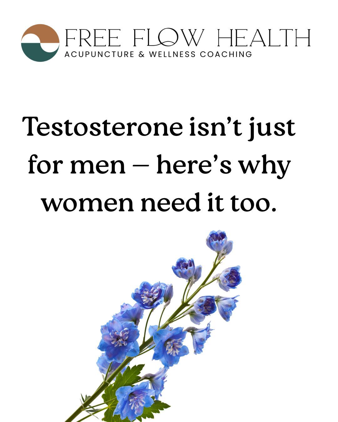 Women need testosterone — for energy, libido, muscle, and motivation.
It naturally dips in peri-menopause, but low levels are often missed or dismissed, even when the symptoms are obvious.
Want to understand how acupuncture and HRT can support healthy testosterone?
👉 Head to the blog for the full guide. Link in Bio!
#sandiegoacupuncture
#sandiegowomenshealth
#sandiegowellness
#sdhealth
#sdwellness
#kearnymesawellness
#kearnymesaacupuncture
#kearnymesaliving
#serramesawellness
#centralSD
#womenshormones
#hormonebalanceforwomen
#perimenopausehealth
#menopausewellness
#acupunctureforhormones
#tcmforwomen
#freeflowhealth