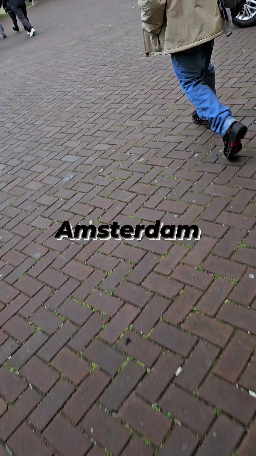 Museum without Walls