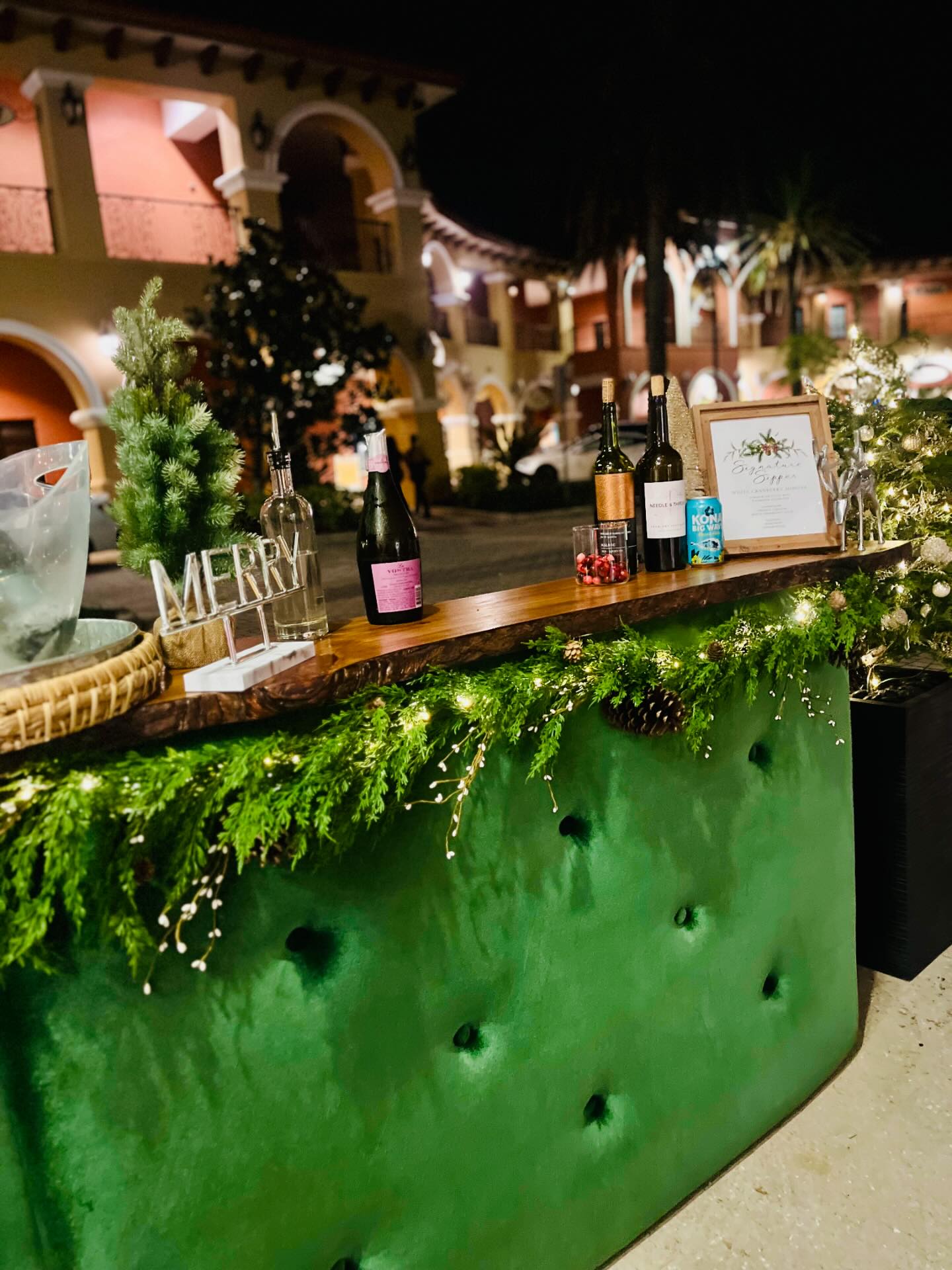 Thank you @sarasota_premier_aesthetics for having me for your amazing holiday party! 🎄