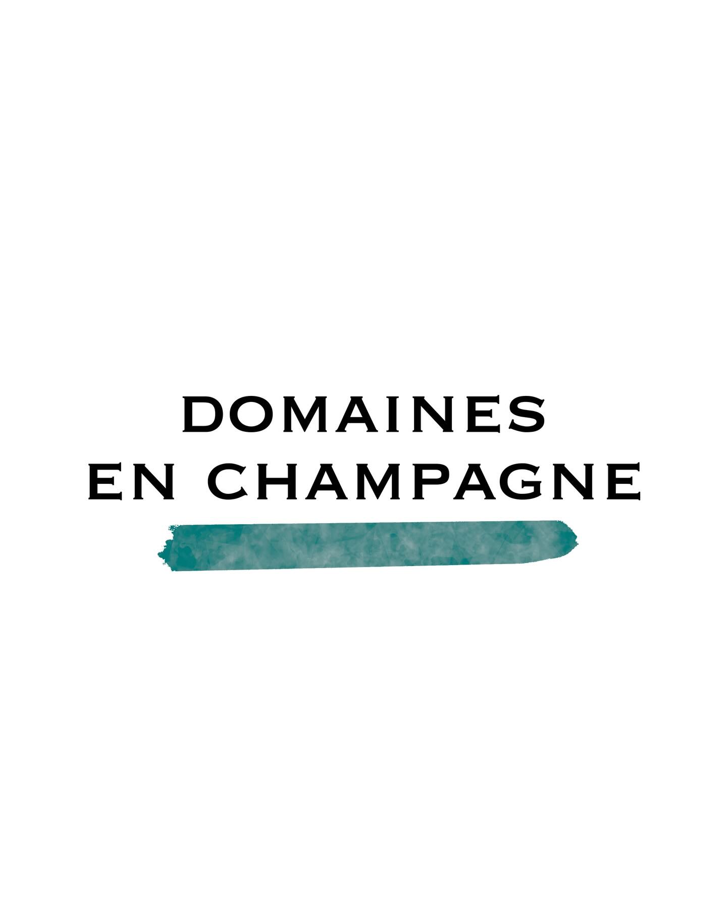 | CHAMPAGNE |
Aujourd’hui, cap sur la Champagne, ce vignoble où chaque terroir affirme sa personnalité ✨
De la Montagne de Reims à la Côte des Blancs, de la Vallée de la Marne à la Côte des Bar, cette mosaïque façonne autant de styles qu’elle inspire de vignerons.
Nous avons le plaisir d’accompagner 8 domaines au cœur de ces quatre grandes régions, chacun révélant à sa manière la finesse et la profondeur du terroir champenois.
🍷 Retrouvez toutes nos cartes par régions commerciales en story à la une !
🎨 Réalisation & copyright @atelier.soubiran
#champagne #montagnedereims #valleedelamarne #cotedesblancs #cotedesbar #vigneronsdechampagne #agentdevignerons #marchanddevin #denicheursdevin #maisonbillard