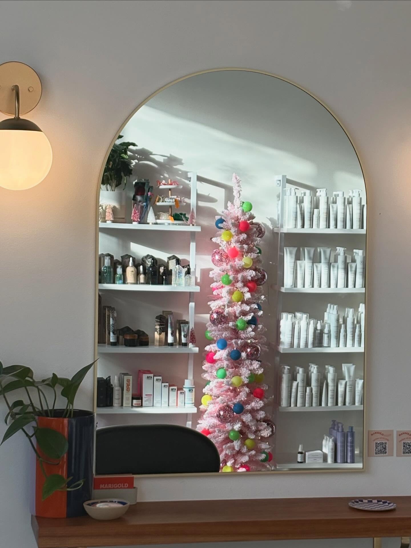 Marigold has been as cute as can be this week, the sun has been hitting just right🤩🎄